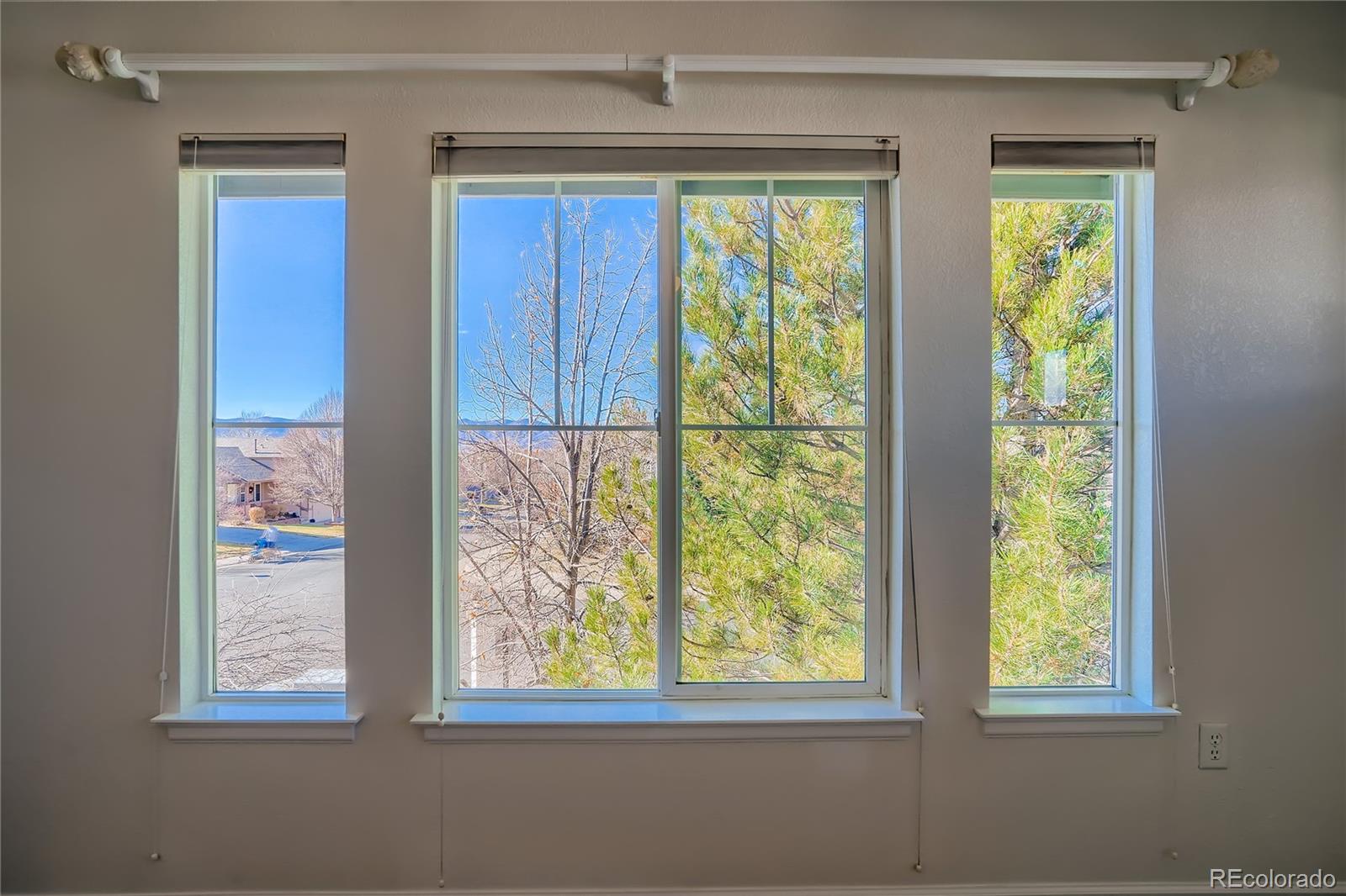 MLS Image #26 for 154  whitehaven circle,highlands ranch, Colorado