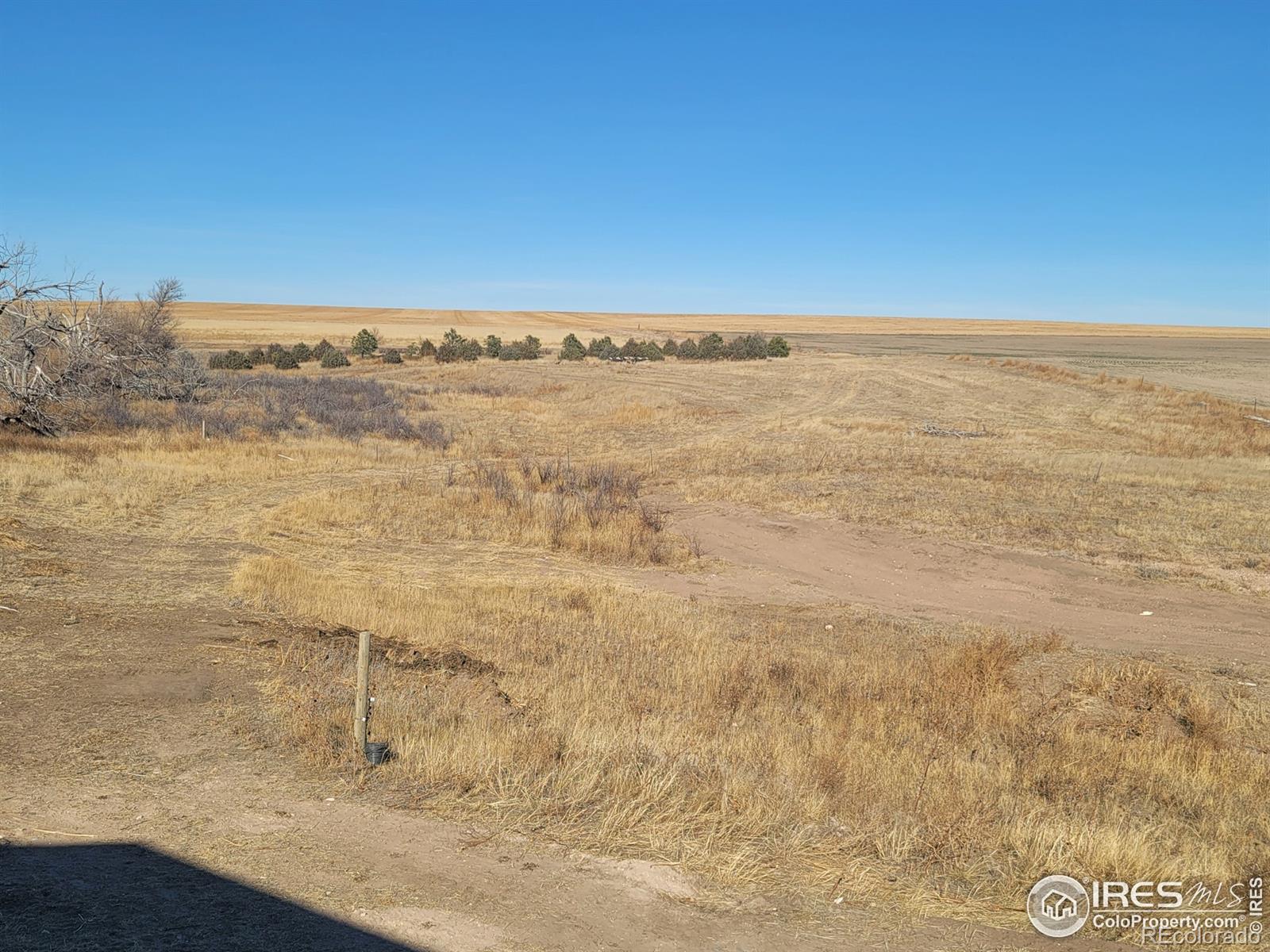 MLS Image #32 for 33490  county road 42 ,otis, Colorado