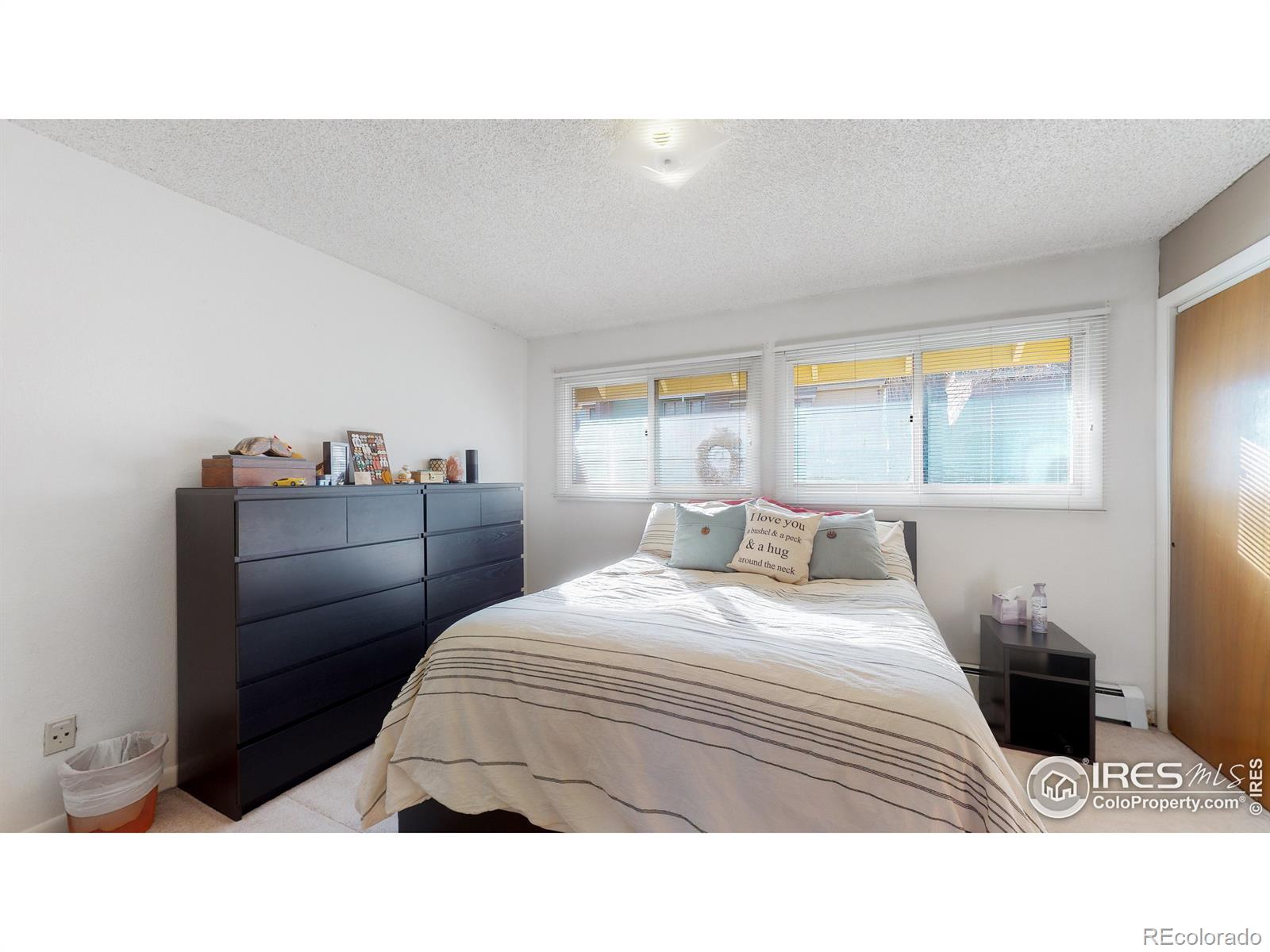 MLS Image #13 for 1725  springmeadows court,fort collins, Colorado