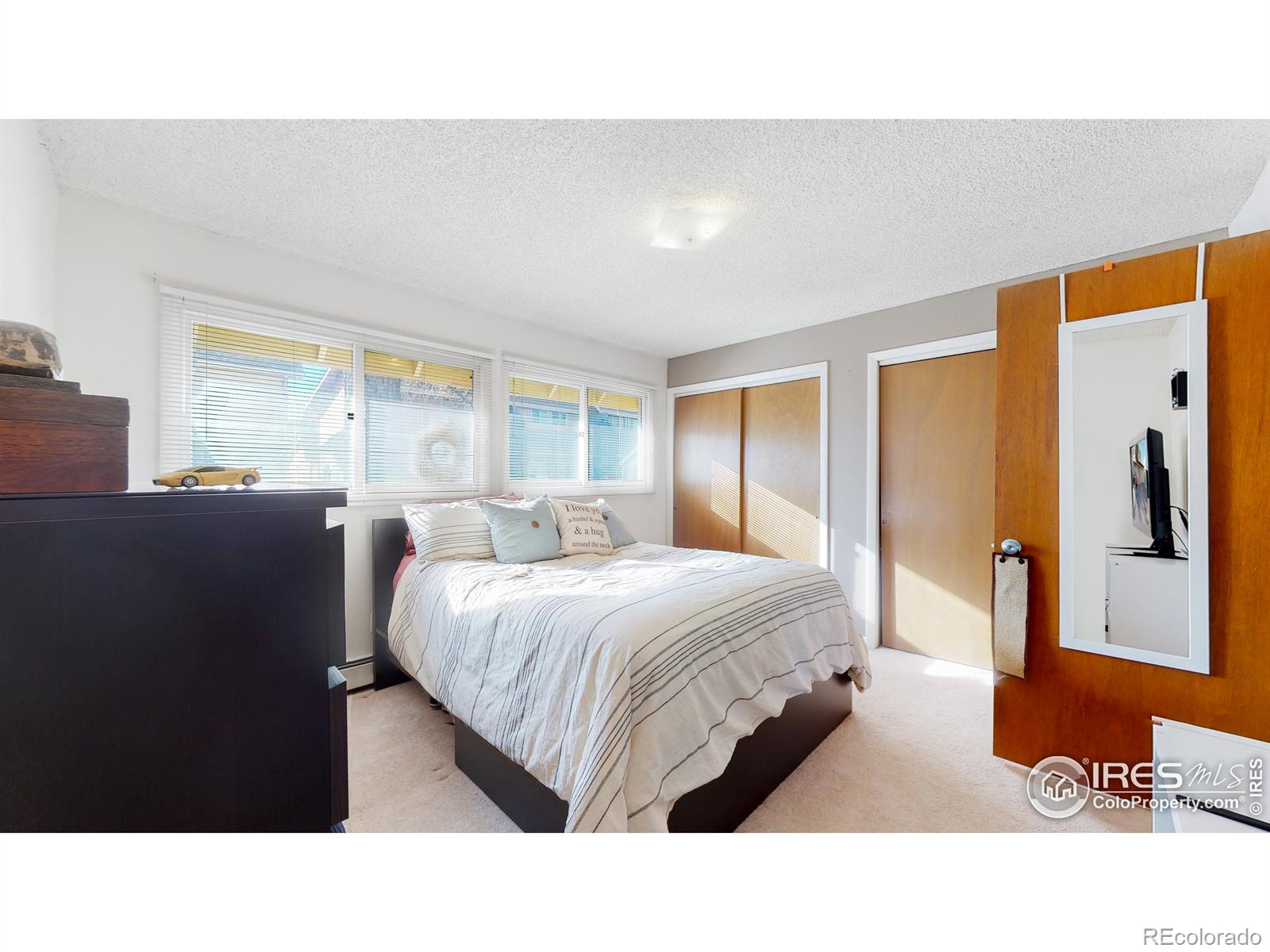 MLS Image #14 for 1725  springmeadows court,fort collins, Colorado