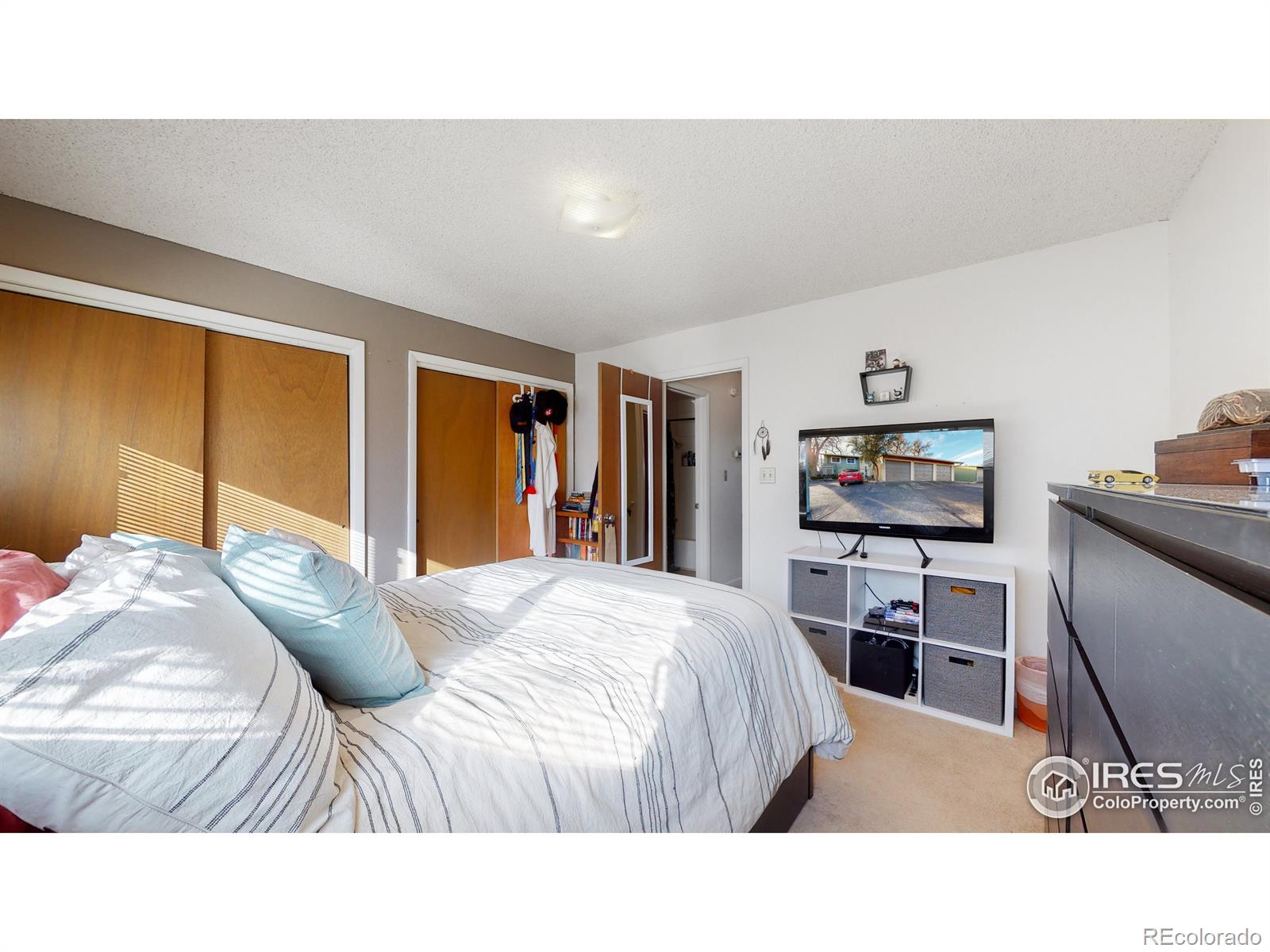 MLS Image #15 for 1725  springmeadows court,fort collins, Colorado