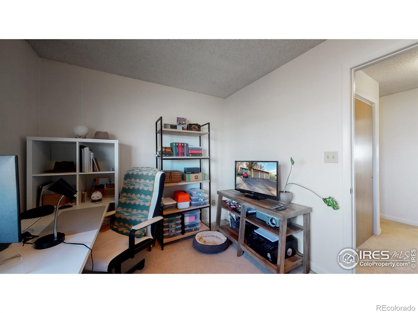 MLS Image #19 for 1725  springmeadows court,fort collins, Colorado