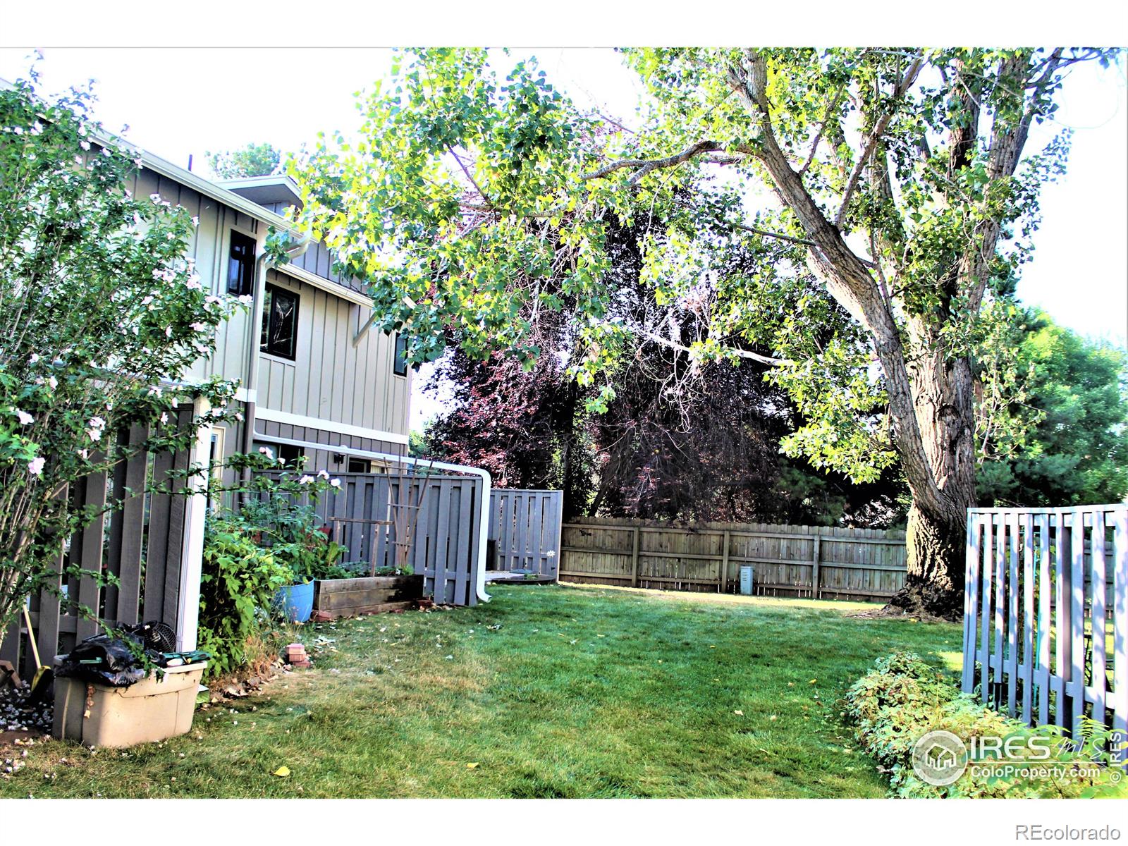 MLS Image #5 for 3109  sail place,fort collins, Colorado