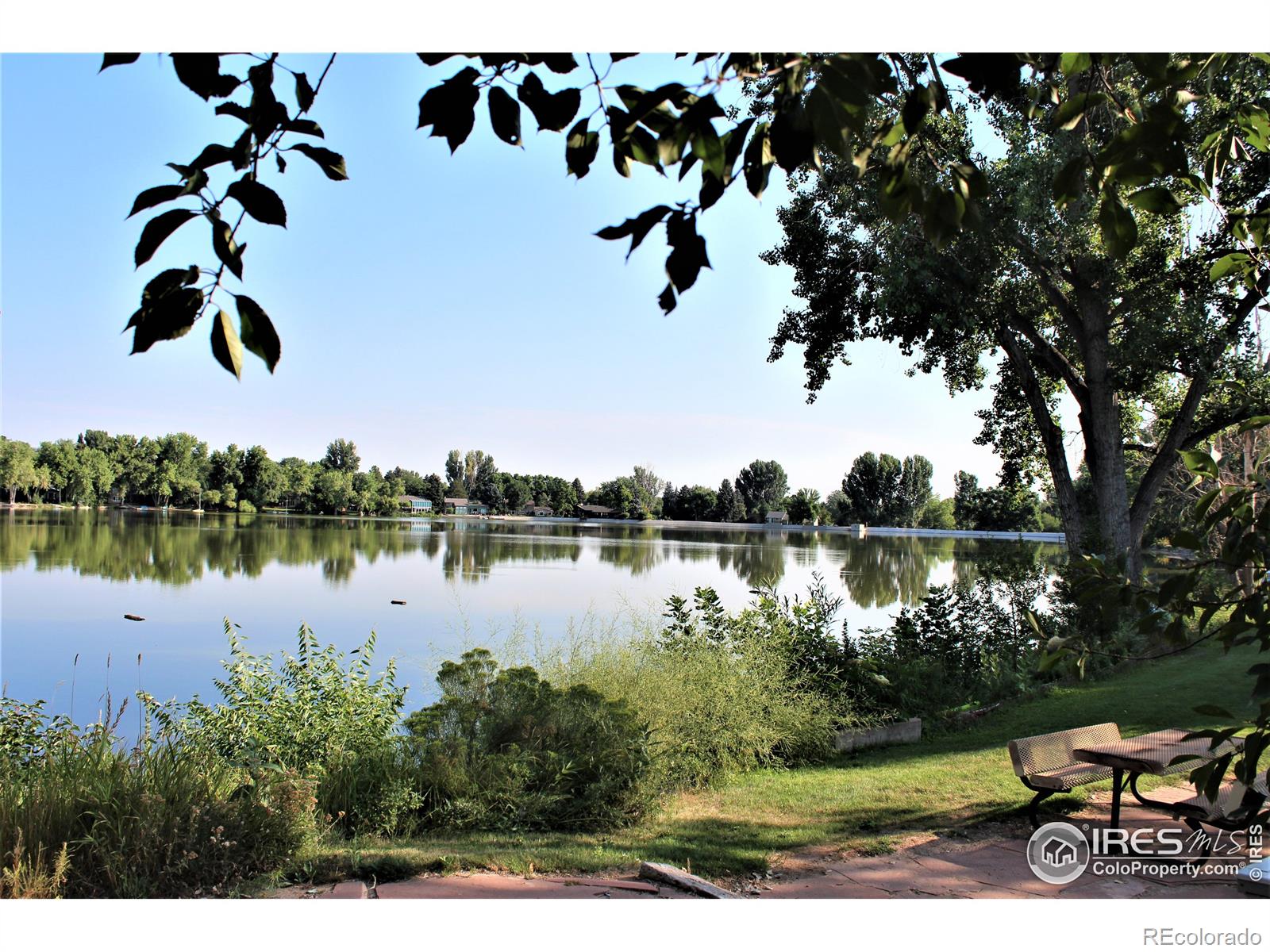 MLS Image #6 for 3109  sail place,fort collins, Colorado