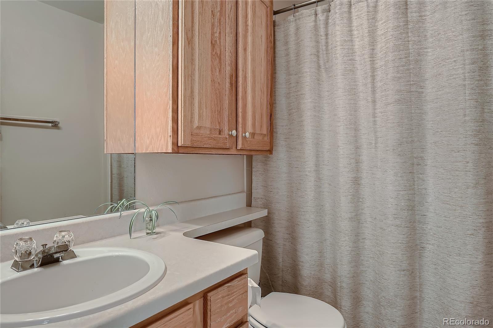 MLS Image #16 for 29  sailing way,palmer lake, Colorado