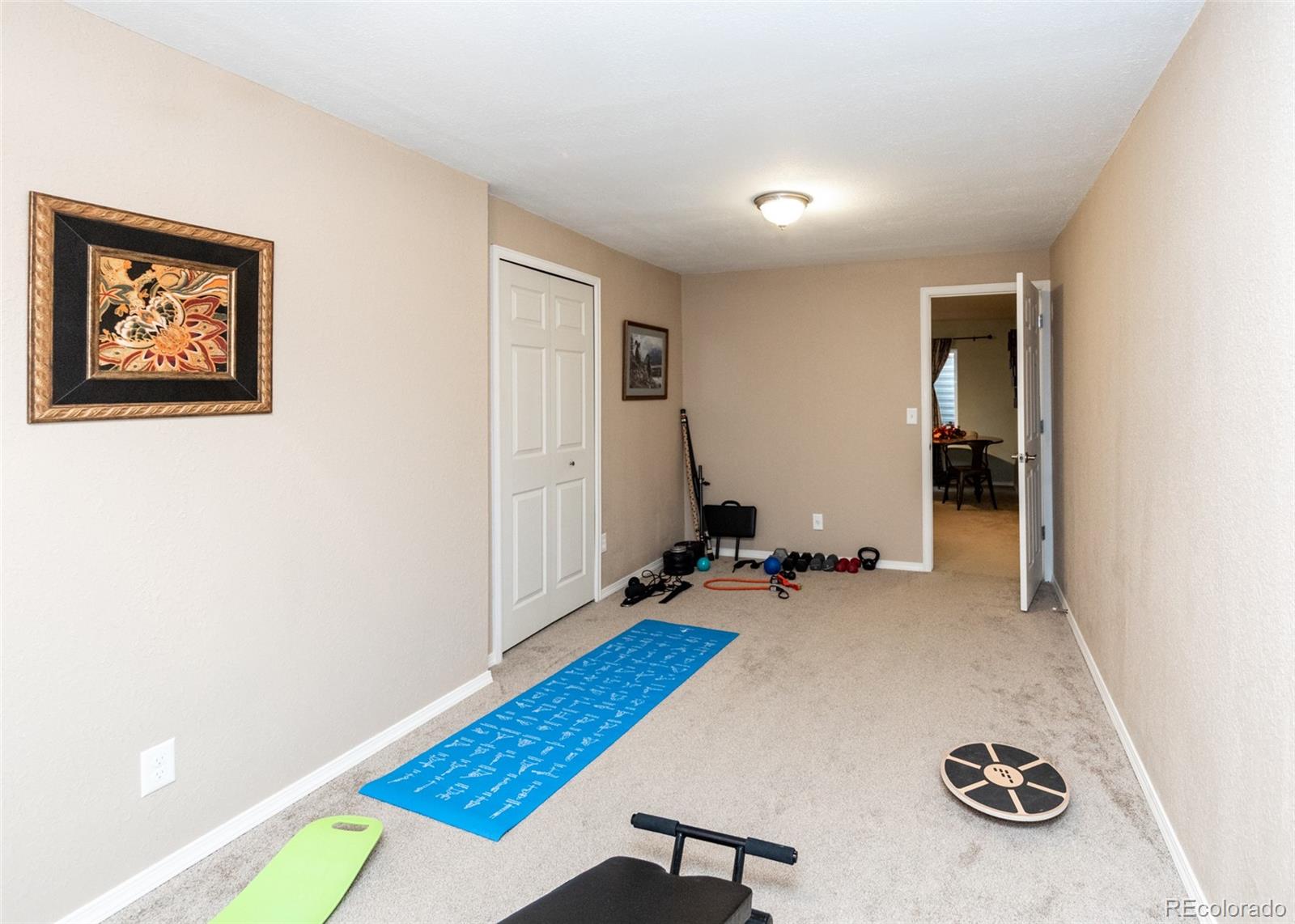 MLS Image #25 for 1280  almagre peak drive,colorado springs, Colorado