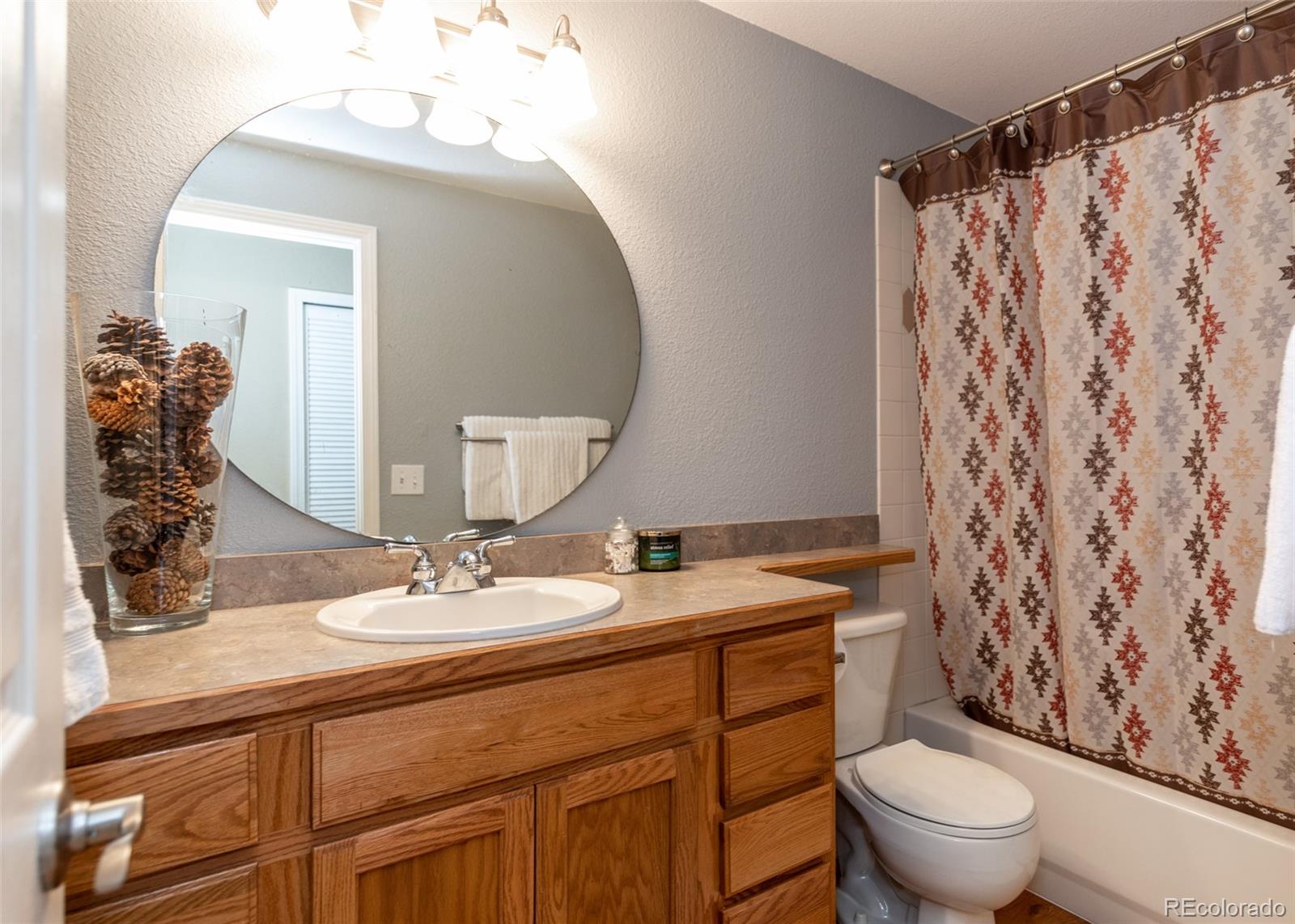 MLS Image #27 for 1280  almagre peak drive,colorado springs, Colorado