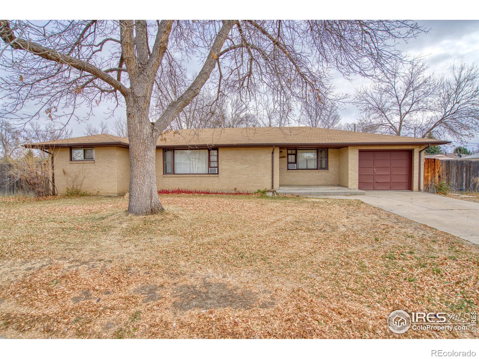 MLS Image #0 for 1212  francis street,longmont, Colorado