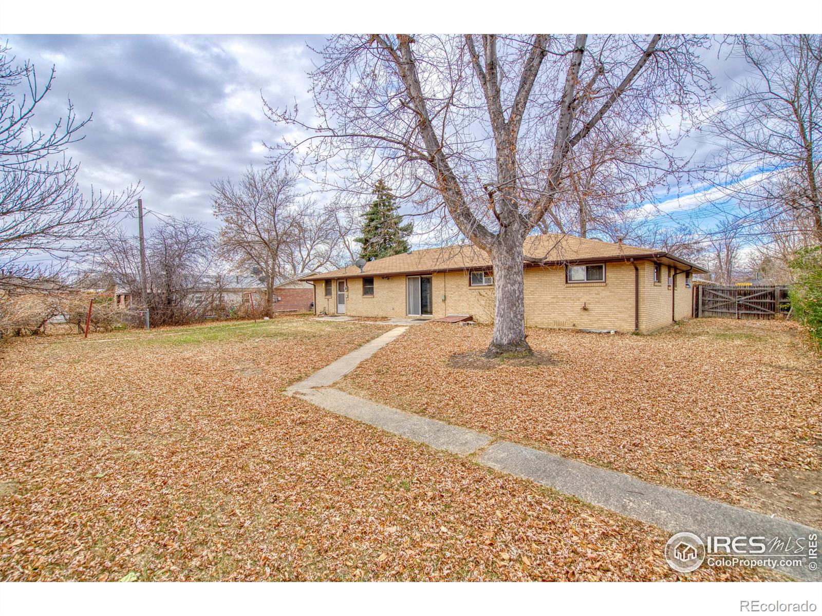 MLS Image #3 for 1212  francis street,longmont, Colorado