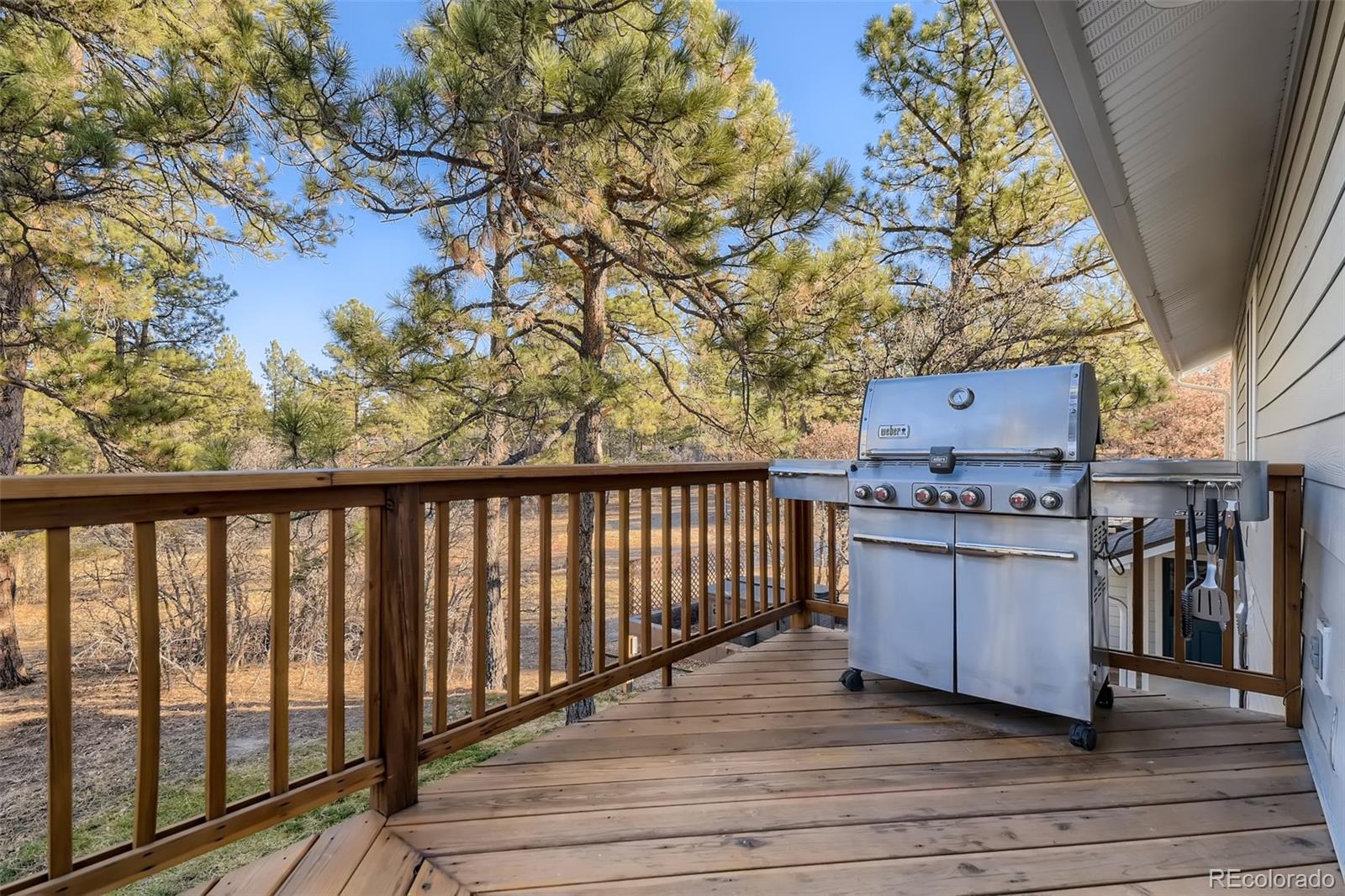 MLS Image #15 for 7857 e state highway 86 ,franktown, Colorado