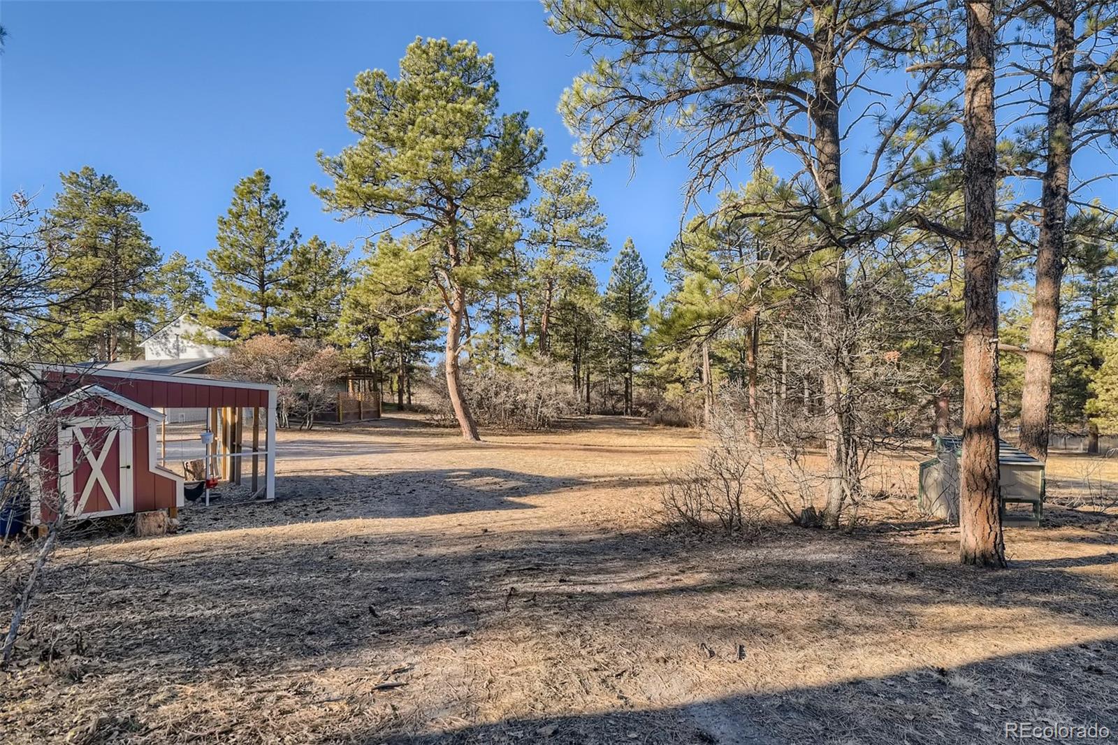 MLS Image #22 for 7857 e state highway 86 ,franktown, Colorado