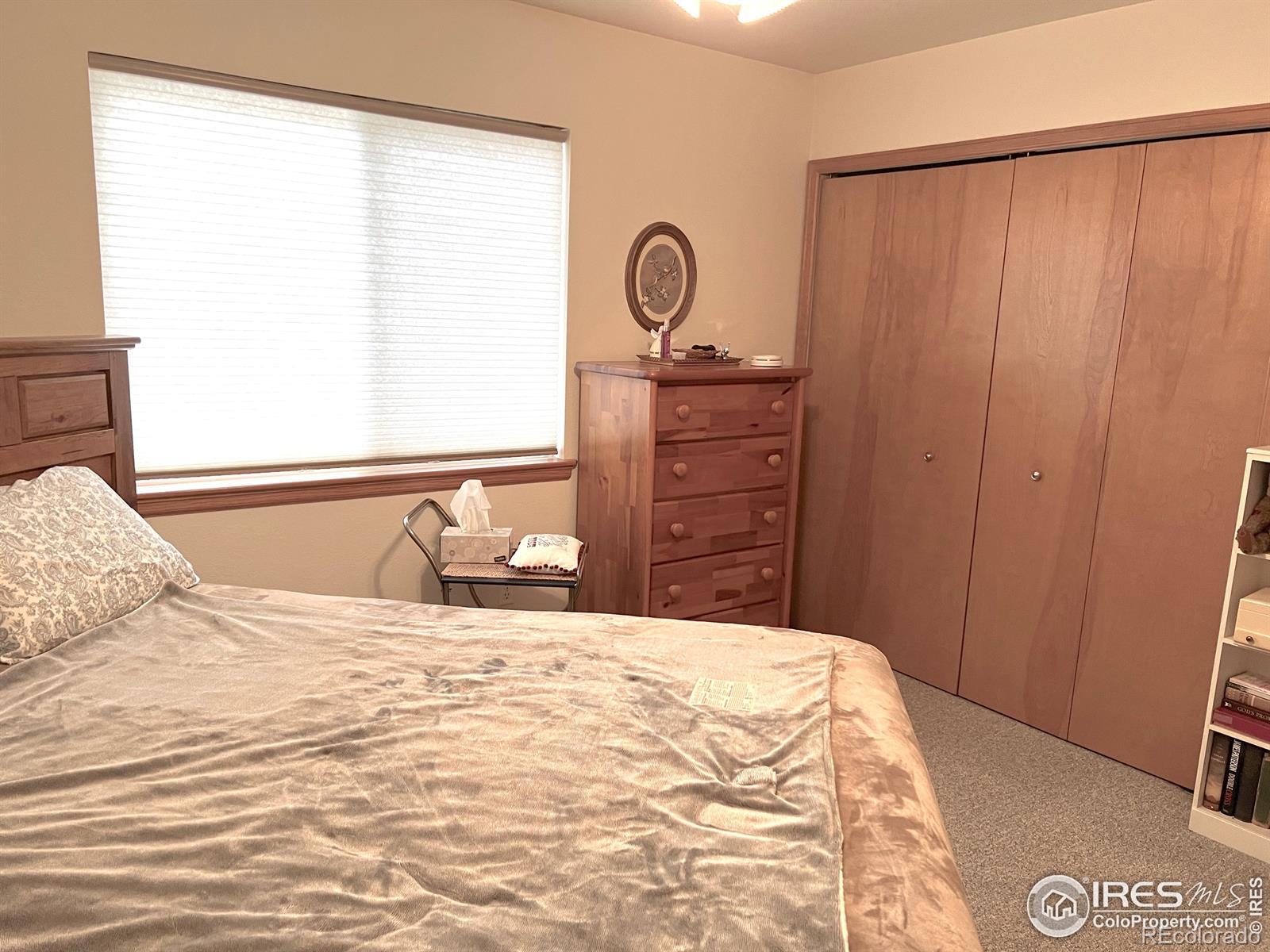 MLS Image #10 for 304  dean court,loveland, Colorado