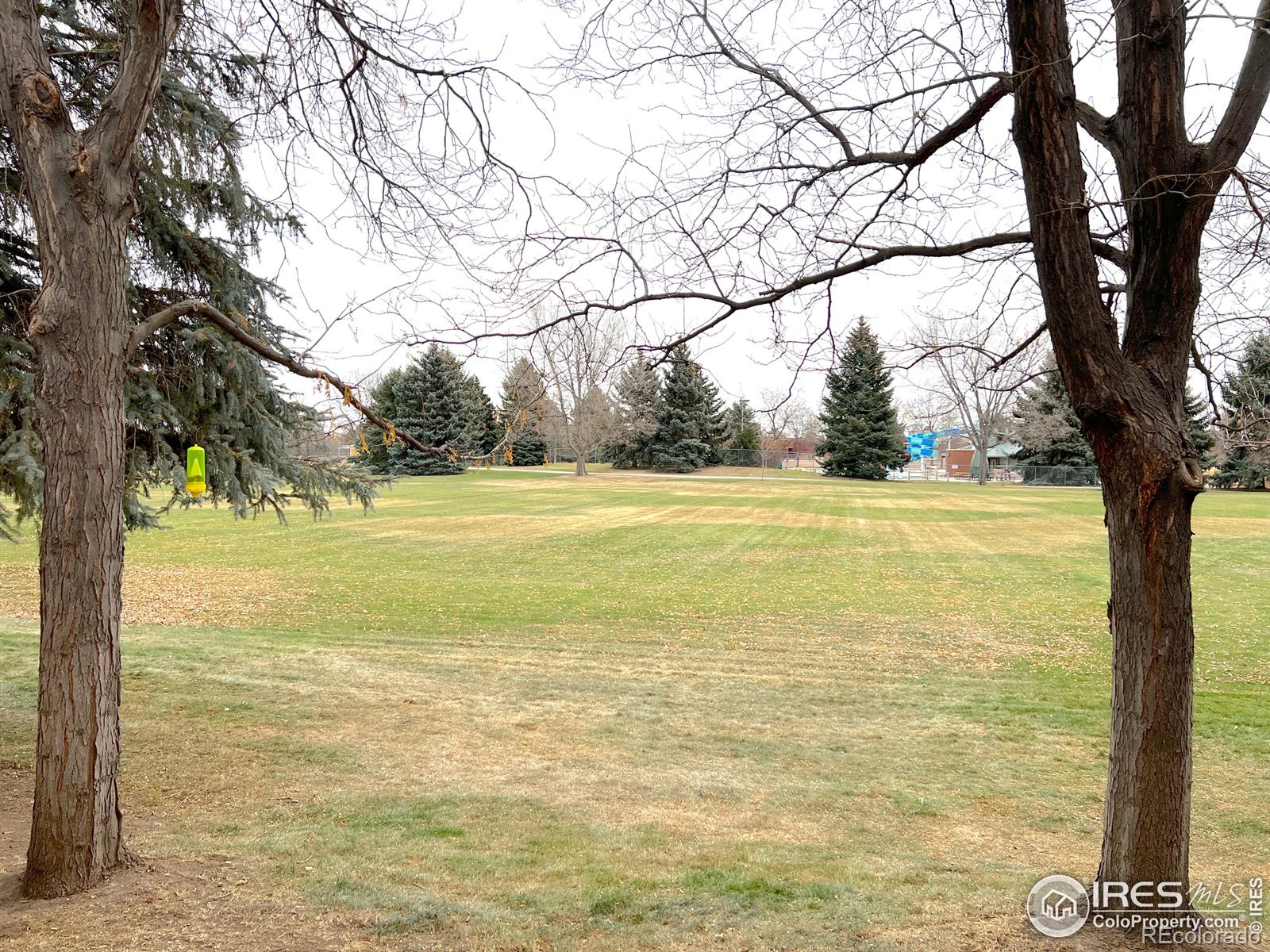 MLS Image #17 for 304  dean court,loveland, Colorado