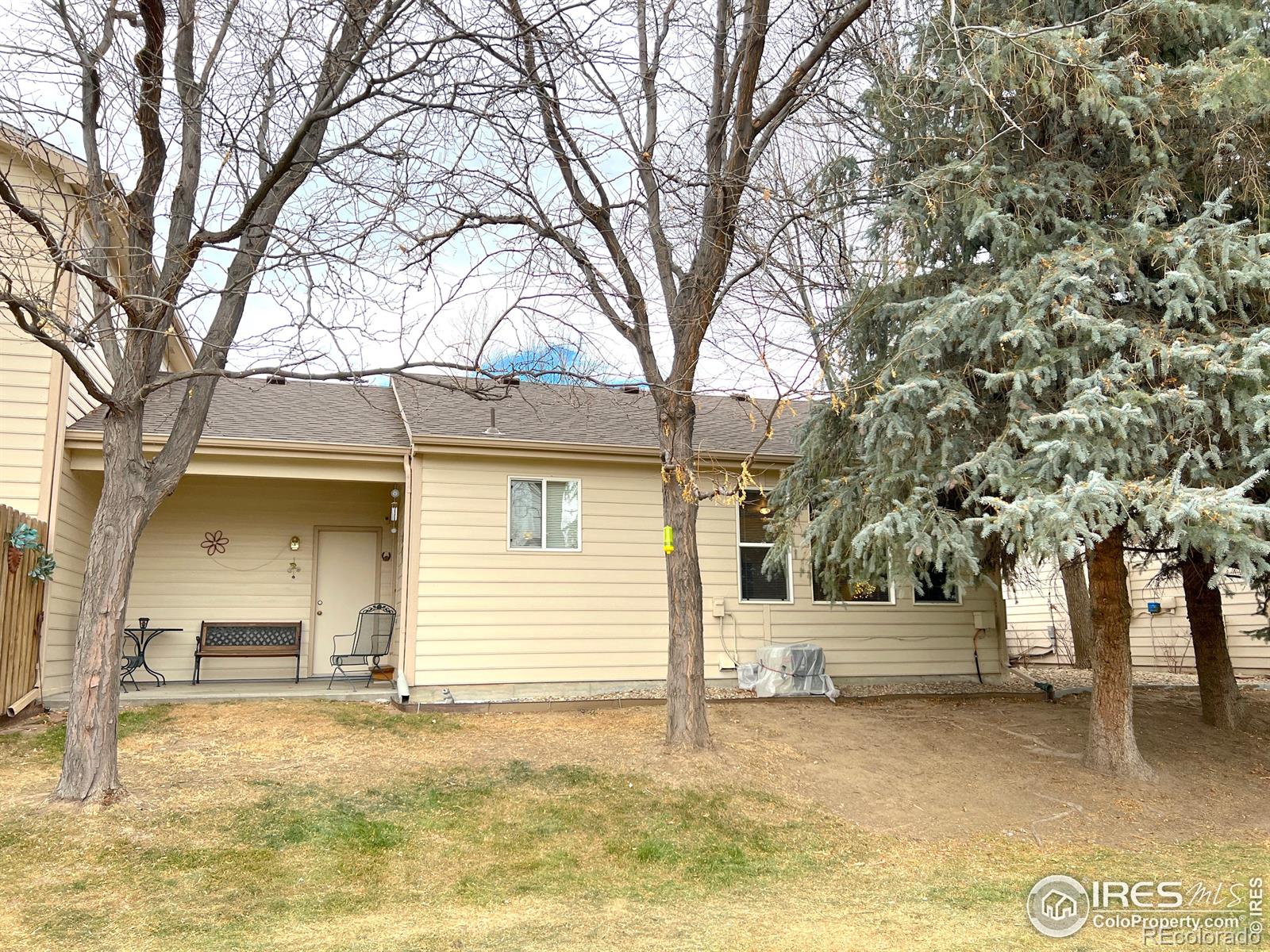 MLS Image #18 for 304  dean court,loveland, Colorado