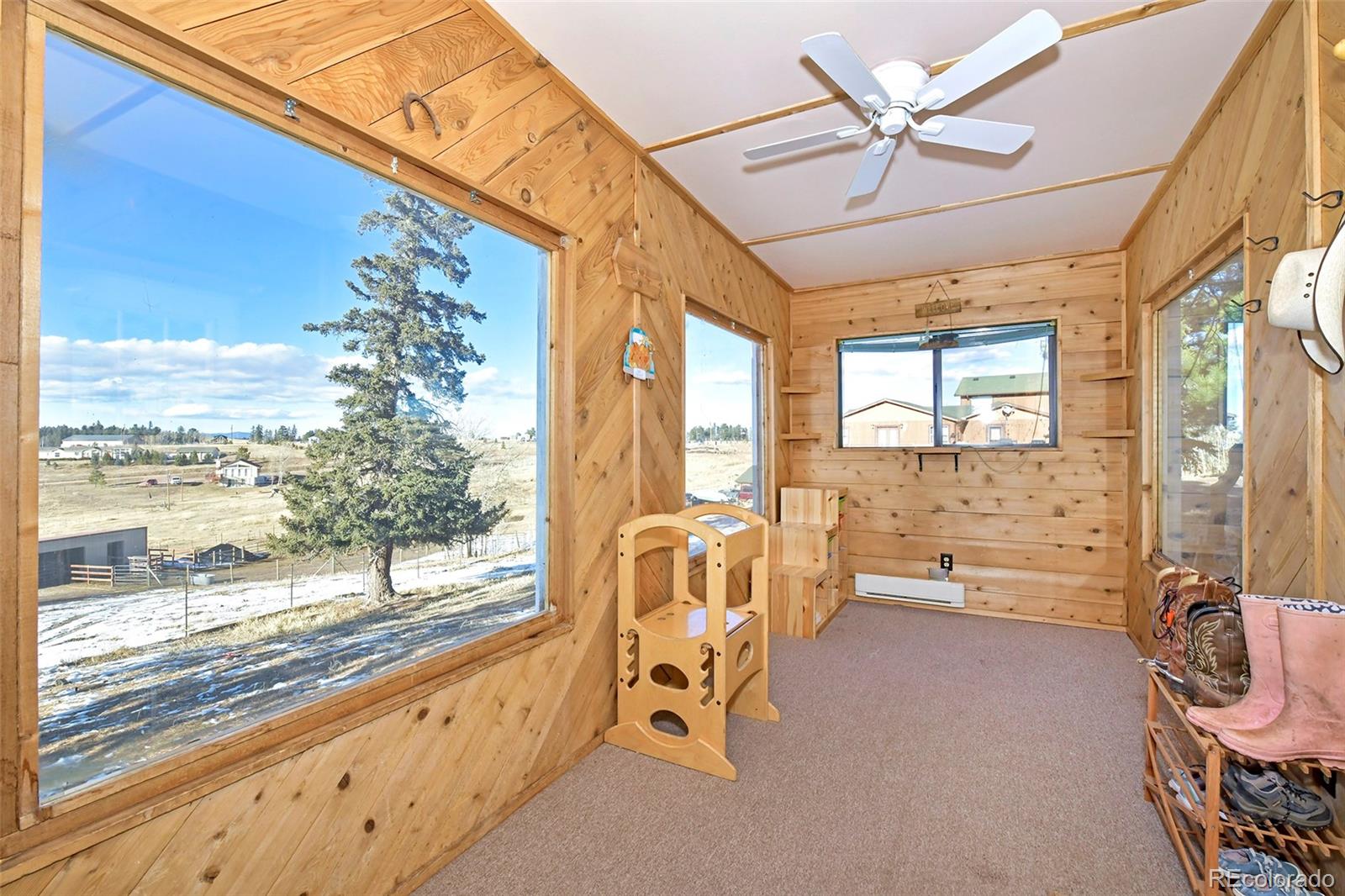 MLS Image #7 for 43  ridge circle,divide, Colorado