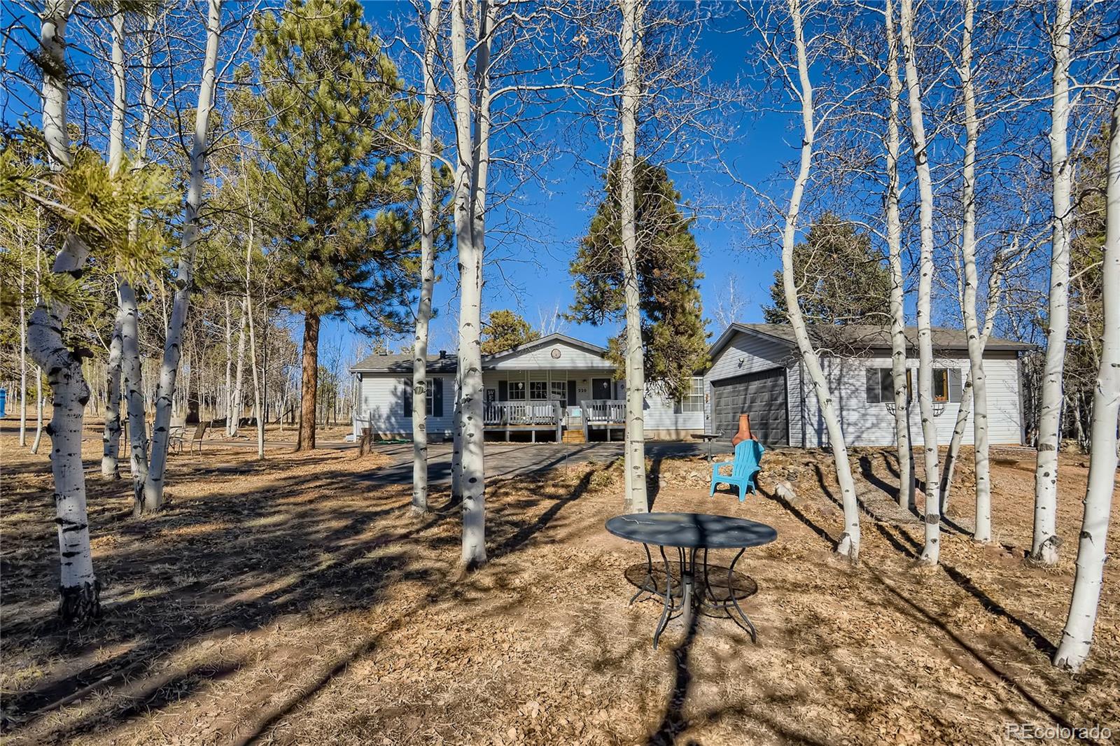MLS Image #1 for 220  ranch drive,woodland park, Colorado