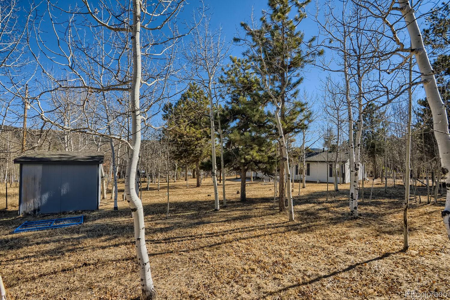 MLS Image #24 for 220  ranch drive,woodland park, Colorado