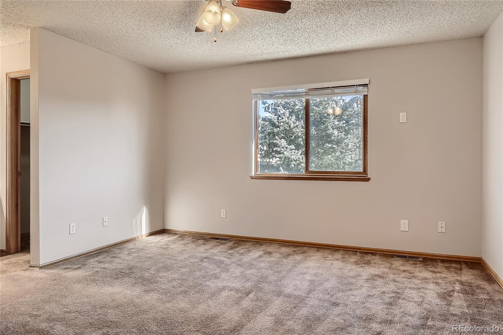 MLS Image #13 for 1010  magic lamp way,monument, Colorado