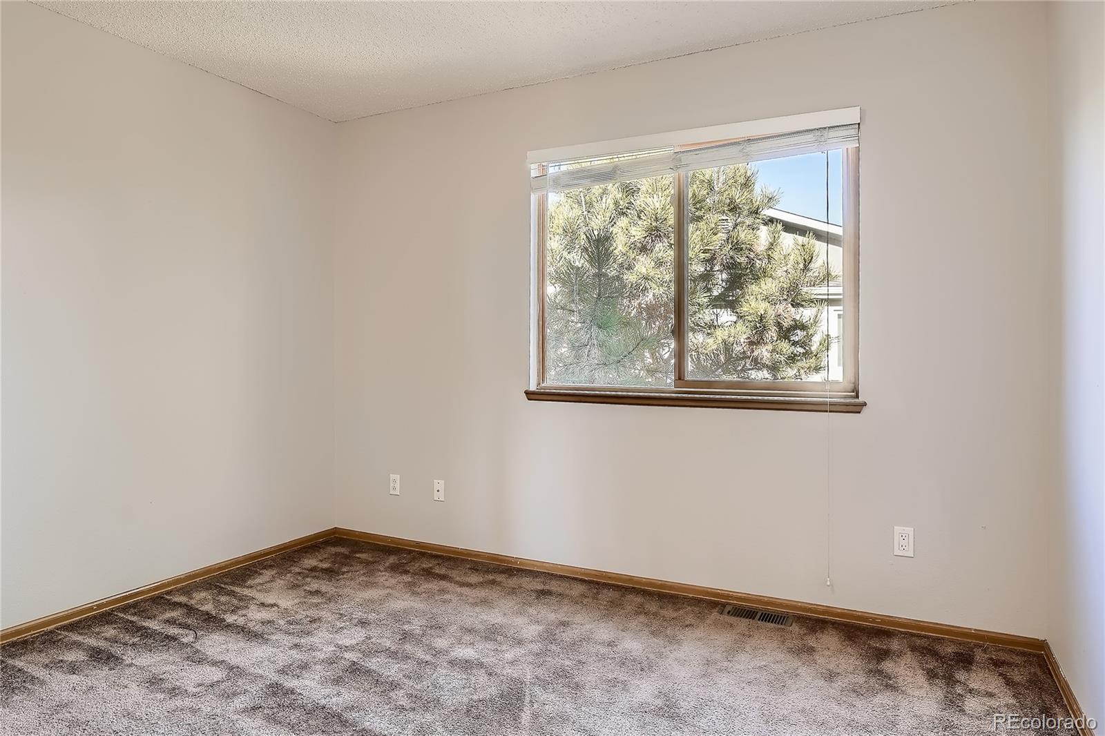 MLS Image #21 for 1010  magic lamp way,monument, Colorado