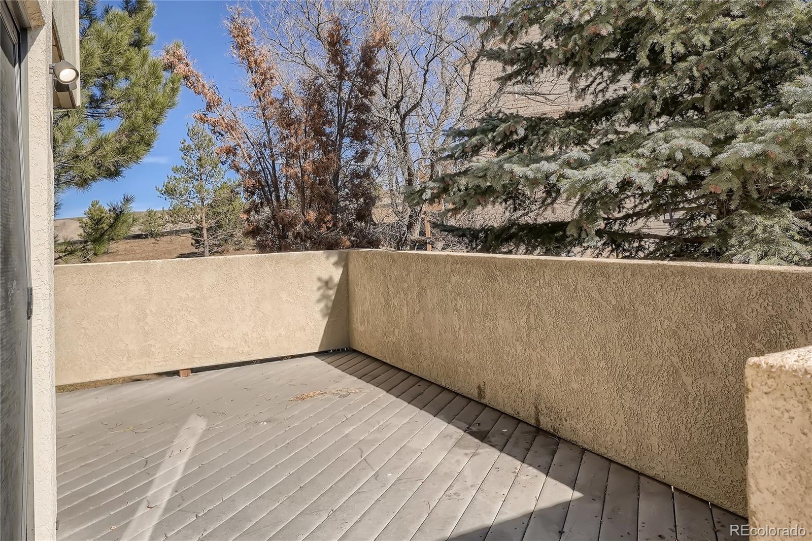 MLS Image #24 for 1010  magic lamp way,monument, Colorado
