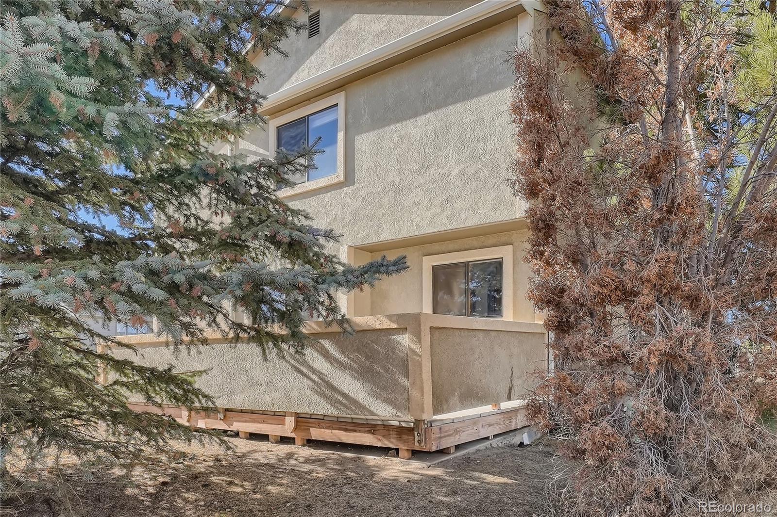 MLS Image #27 for 1010  magic lamp way,monument, Colorado