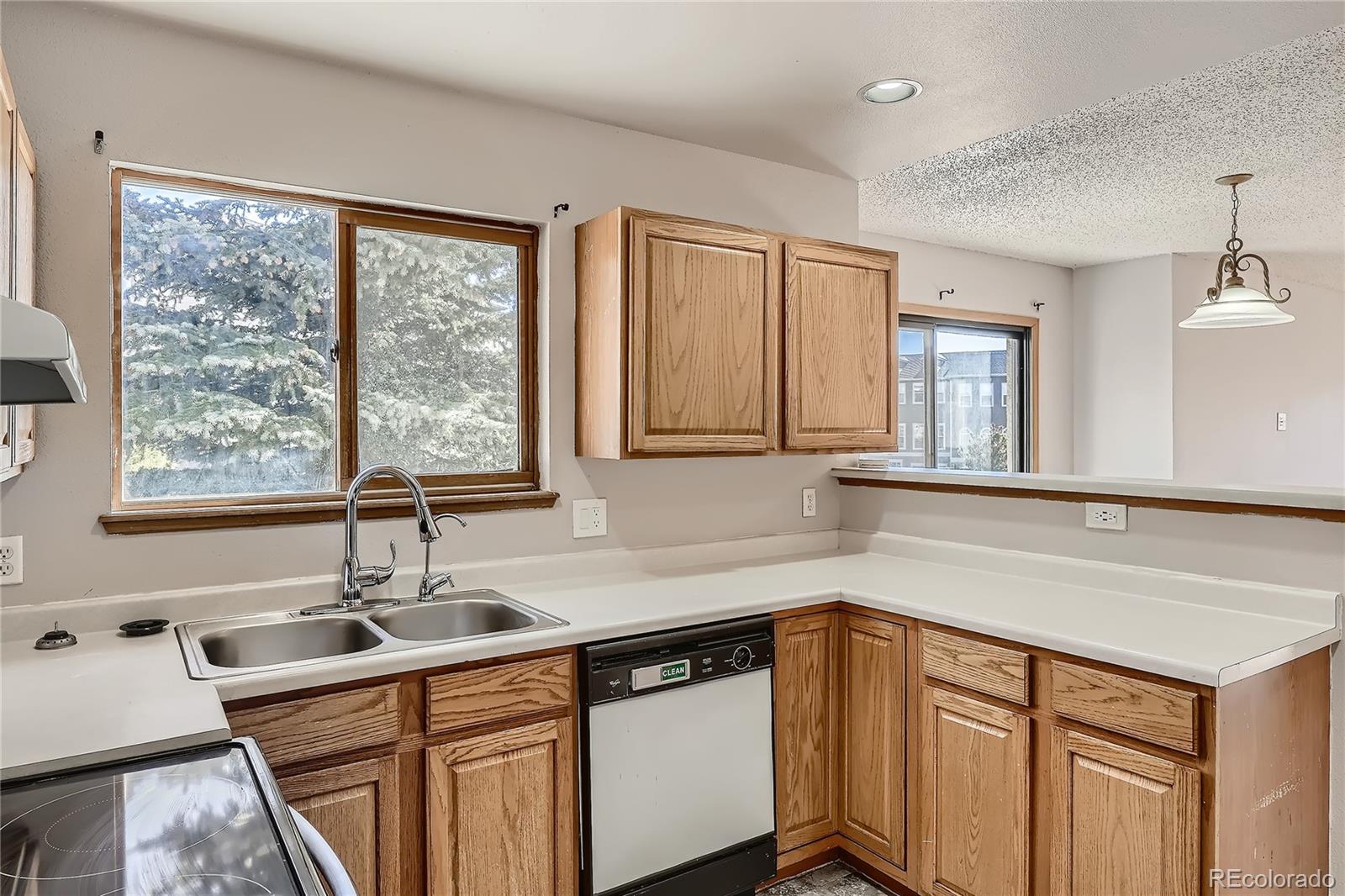 MLS Image #8 for 1010  magic lamp way,monument, Colorado