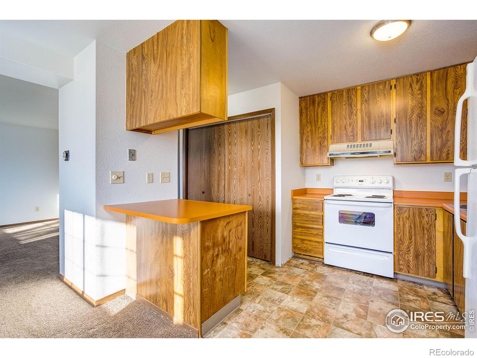 MLS Image #11 for 1640  kirkwood drive,fort collins, Colorado