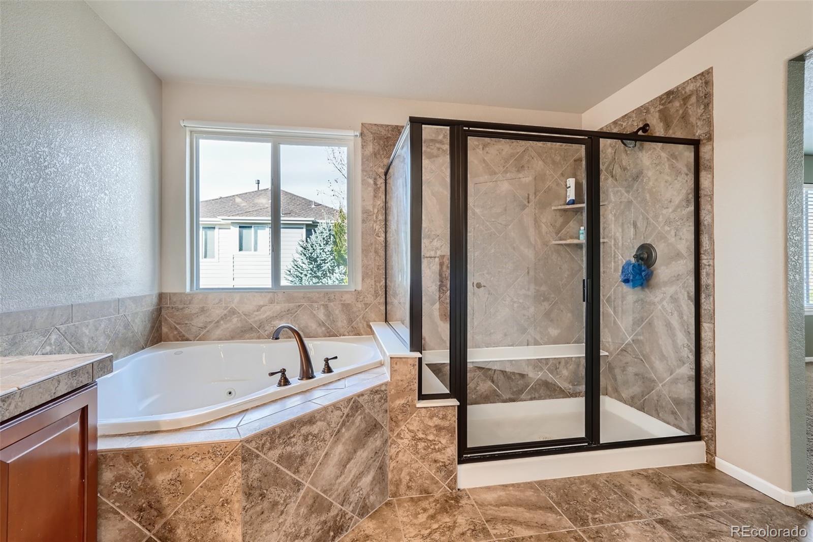 MLS Image #15 for 13255  elk mountain way,broomfield, Colorado