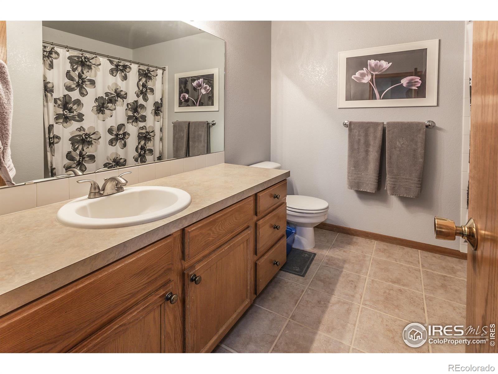 MLS Image #18 for 143  crabapple drive,windsor, Colorado