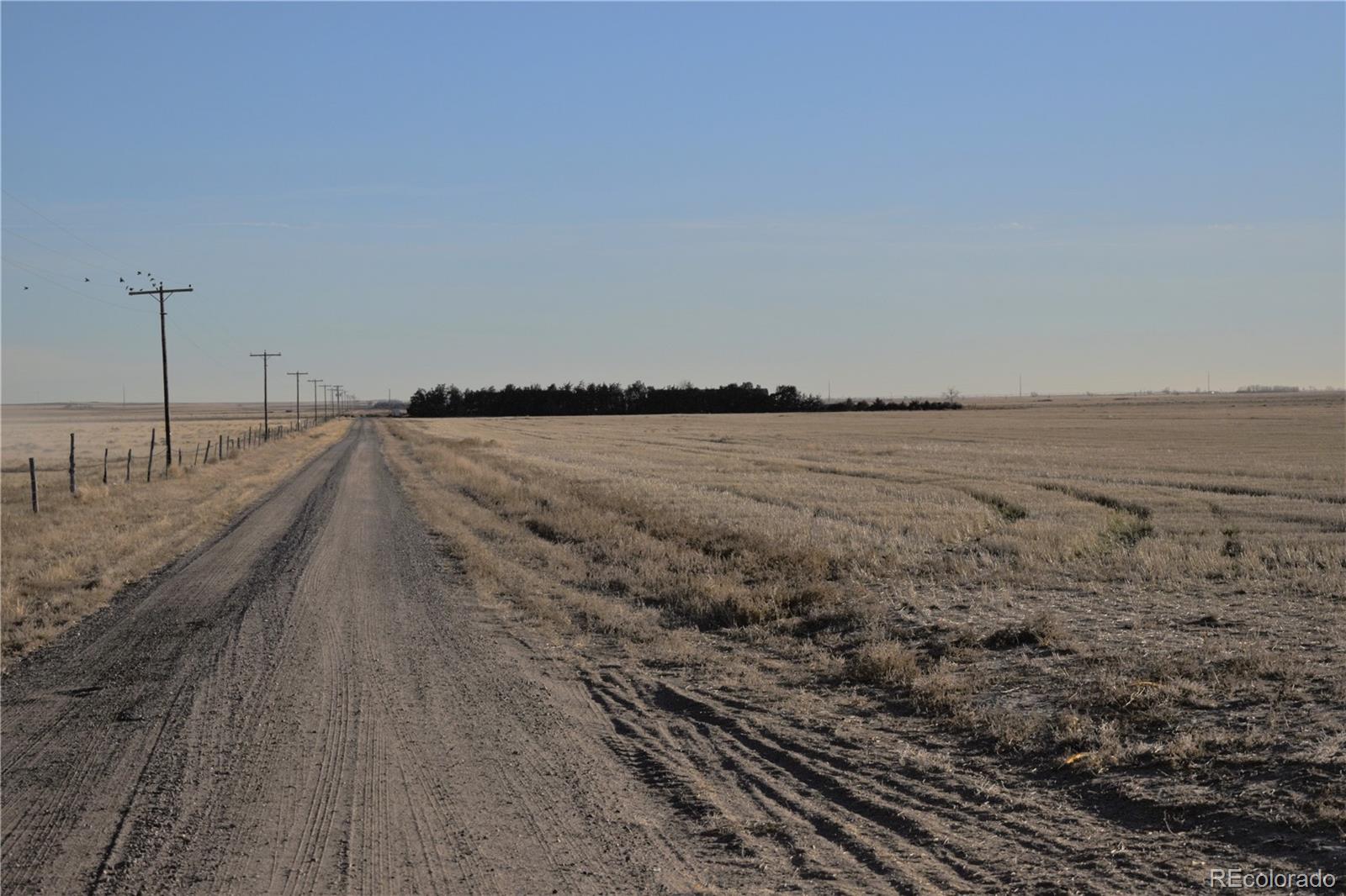 MLS Image #19 for 3535  county road 85 ,roggen, Colorado