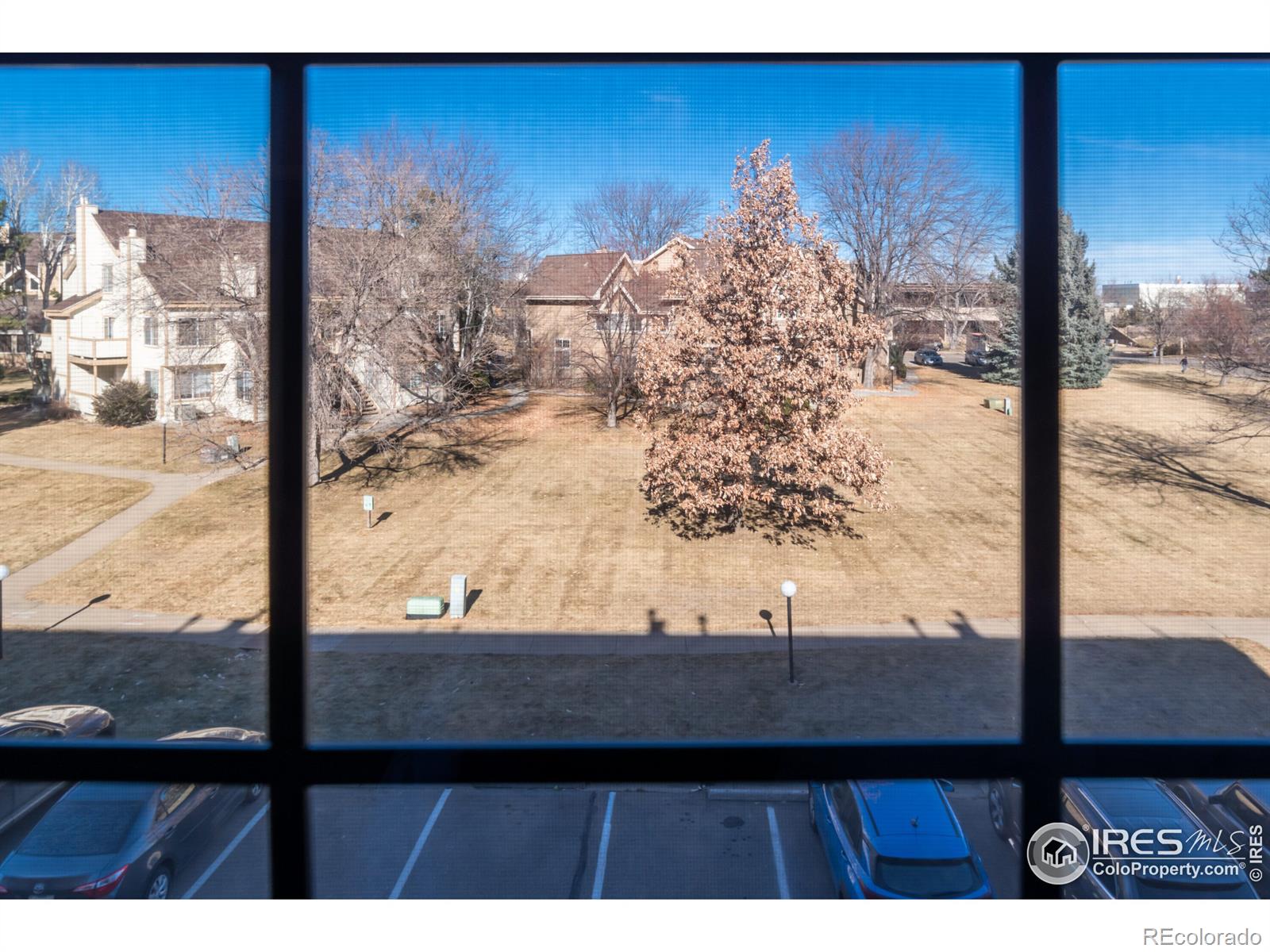 MLS Image #13 for 5934  gunbarrel avenue,boulder, Colorado