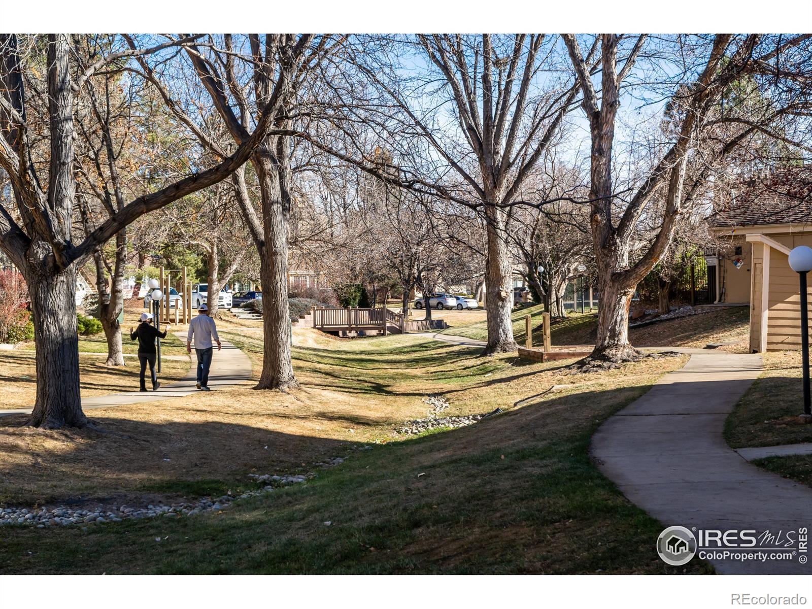 MLS Image #20 for 5934  gunbarrel avenue,boulder, Colorado