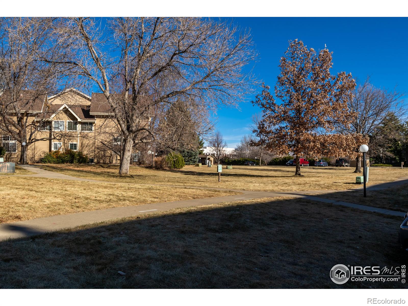 MLS Image #22 for 5934  gunbarrel avenue,boulder, Colorado