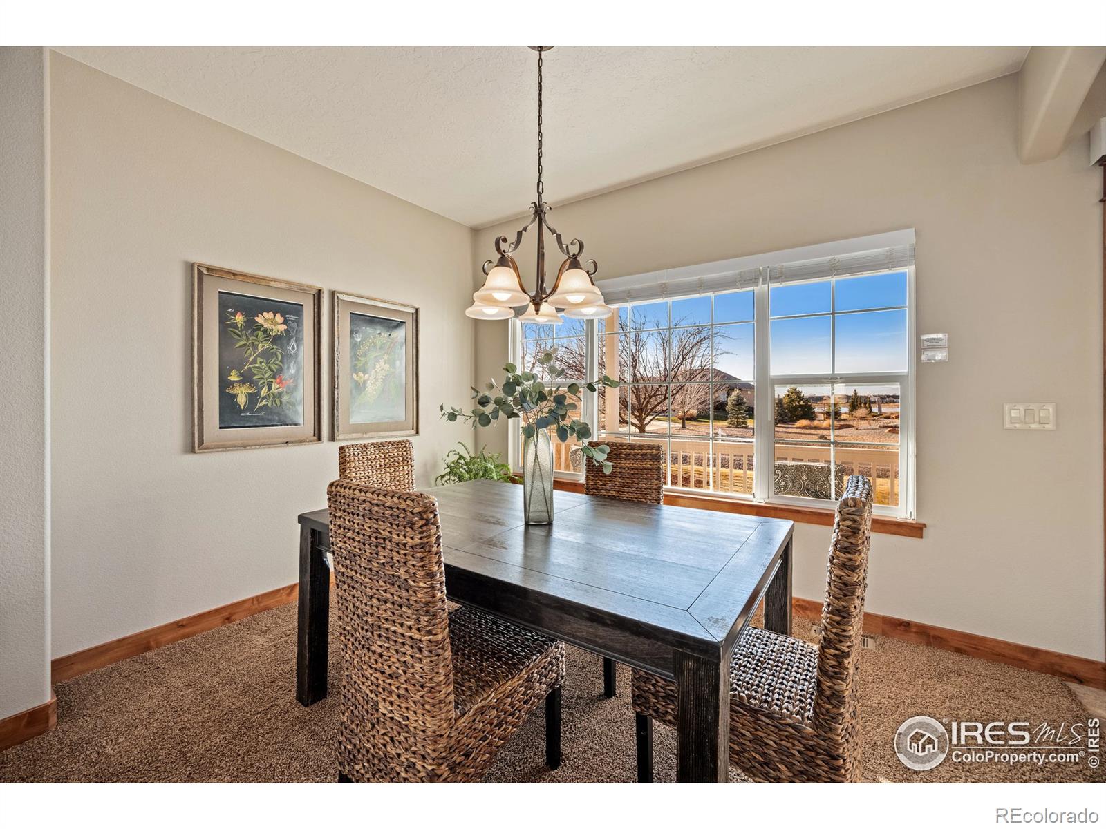 MLS Image #5 for 1226  baldridge drive,severance, Colorado