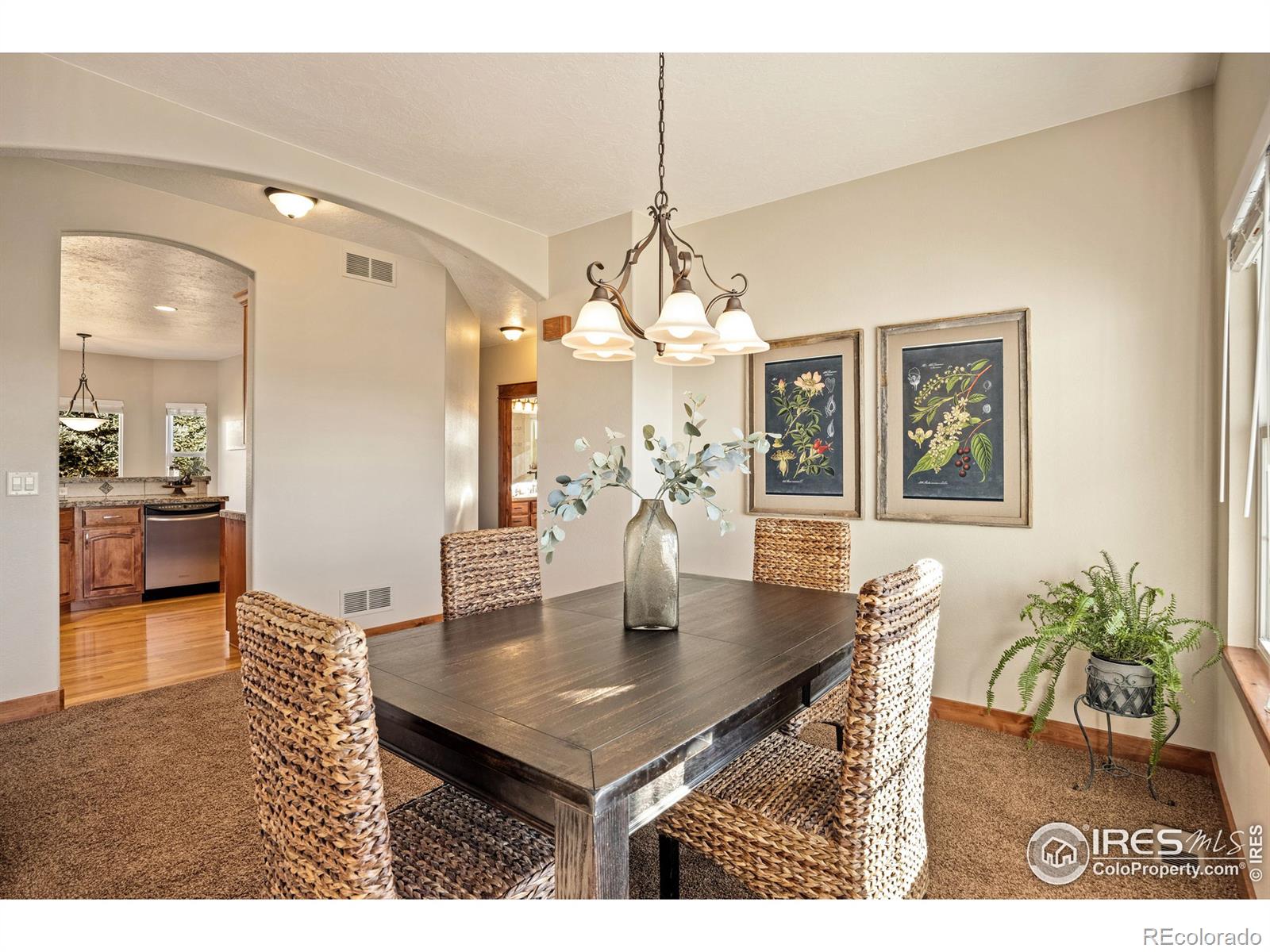 MLS Image #6 for 1226  baldridge drive,severance, Colorado