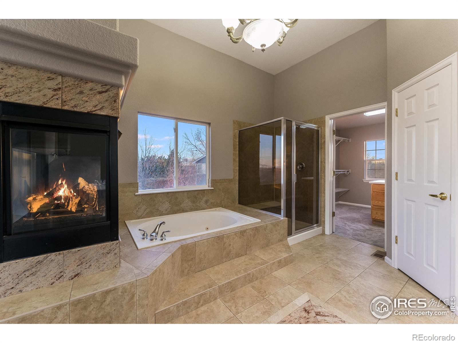 MLS Image #22 for 1715  green wing drive,johnstown, Colorado