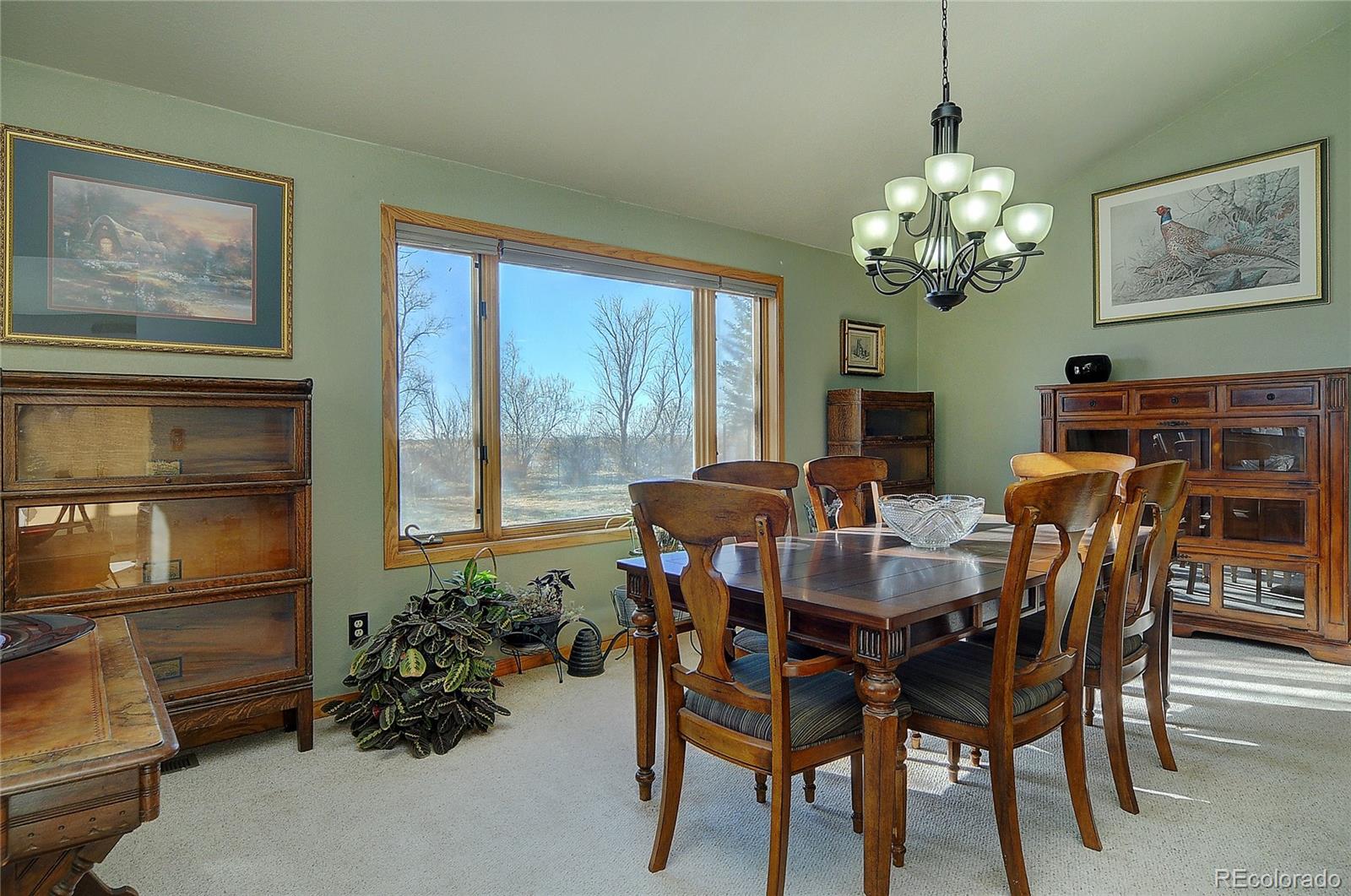 MLS Image #10 for 8092  county road 109 ,mosca, Colorado