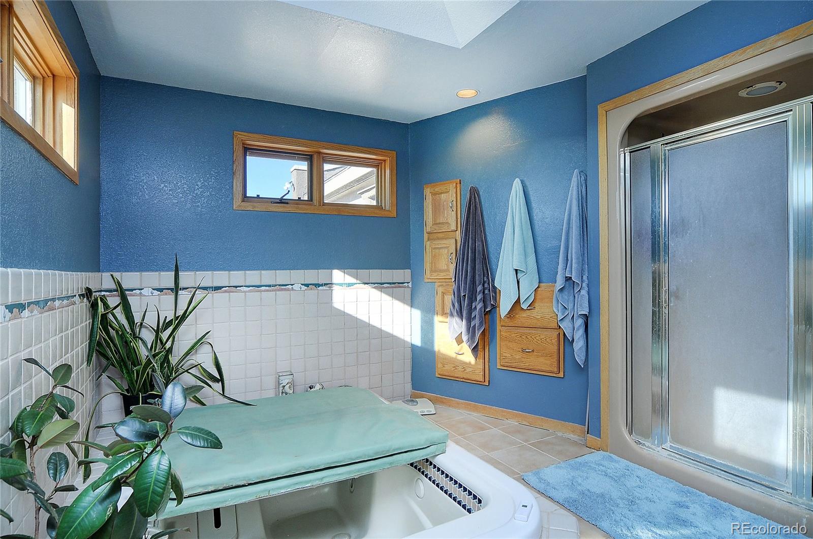 MLS Image #14 for 8092  county road 109 ,mosca, Colorado