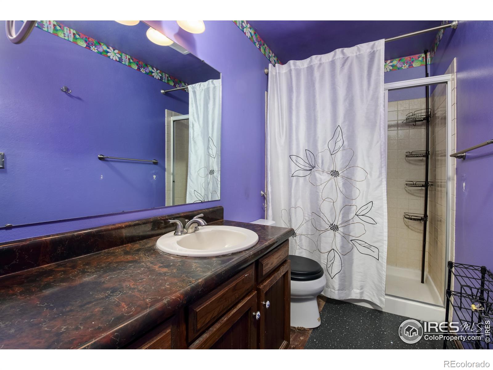 MLS Image #16 for 1006  lee way,longmont, Colorado