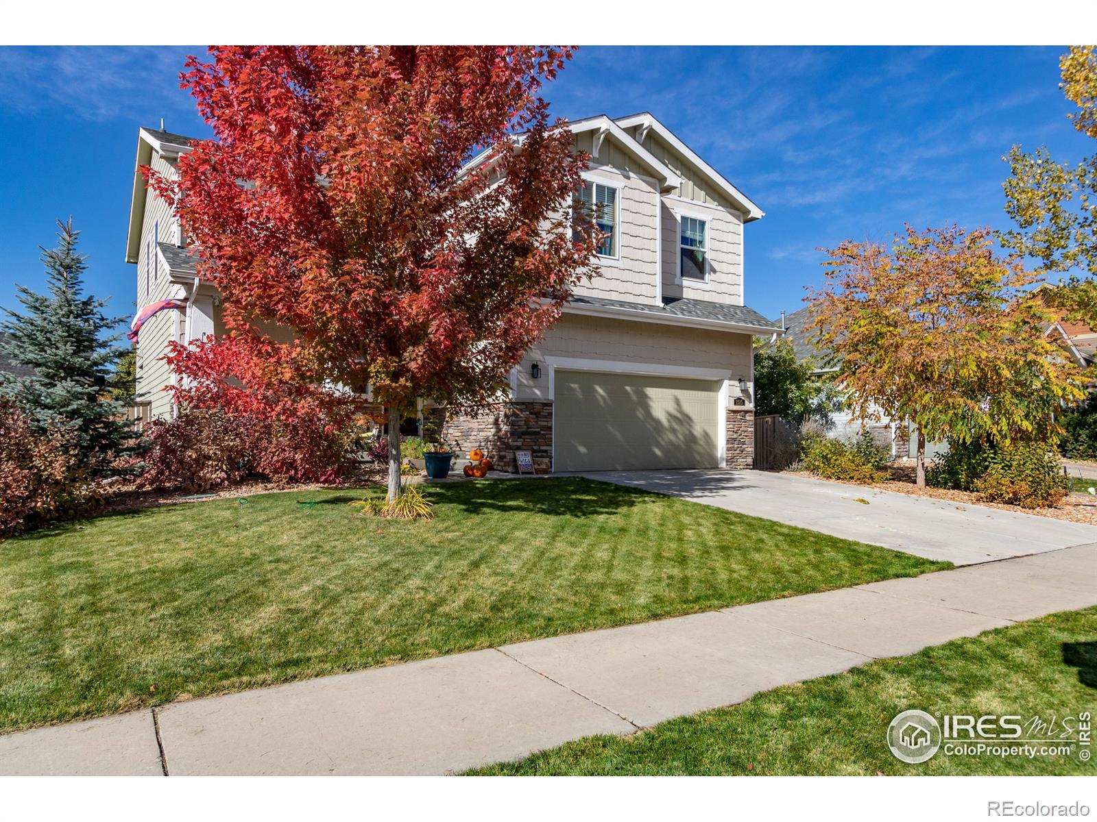 MLS Image #2 for 1515  bowen street,longmont, Colorado