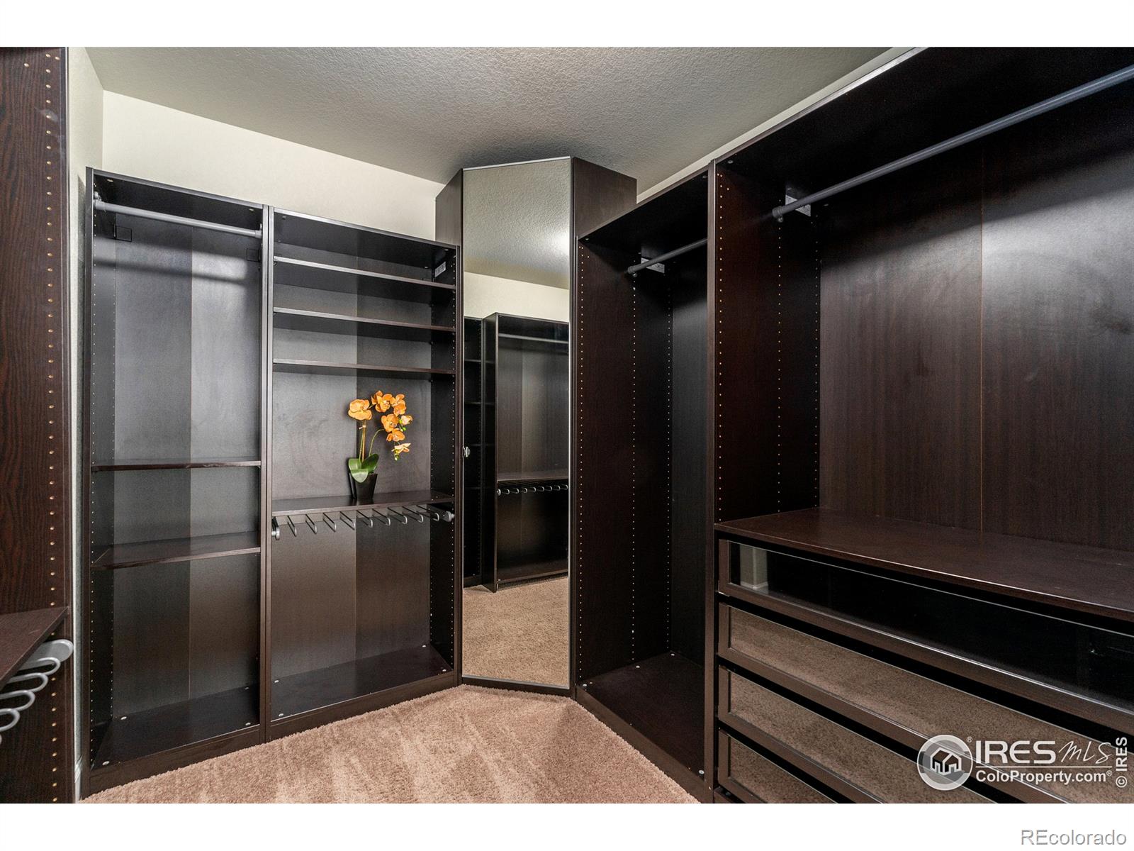 MLS Image #22 for 1515  bowen street,longmont, Colorado