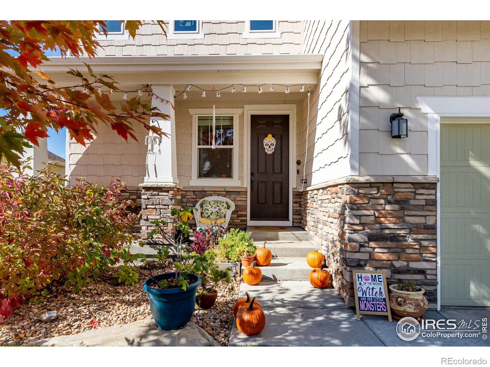 MLS Image #3 for 1515  bowen street,longmont, Colorado