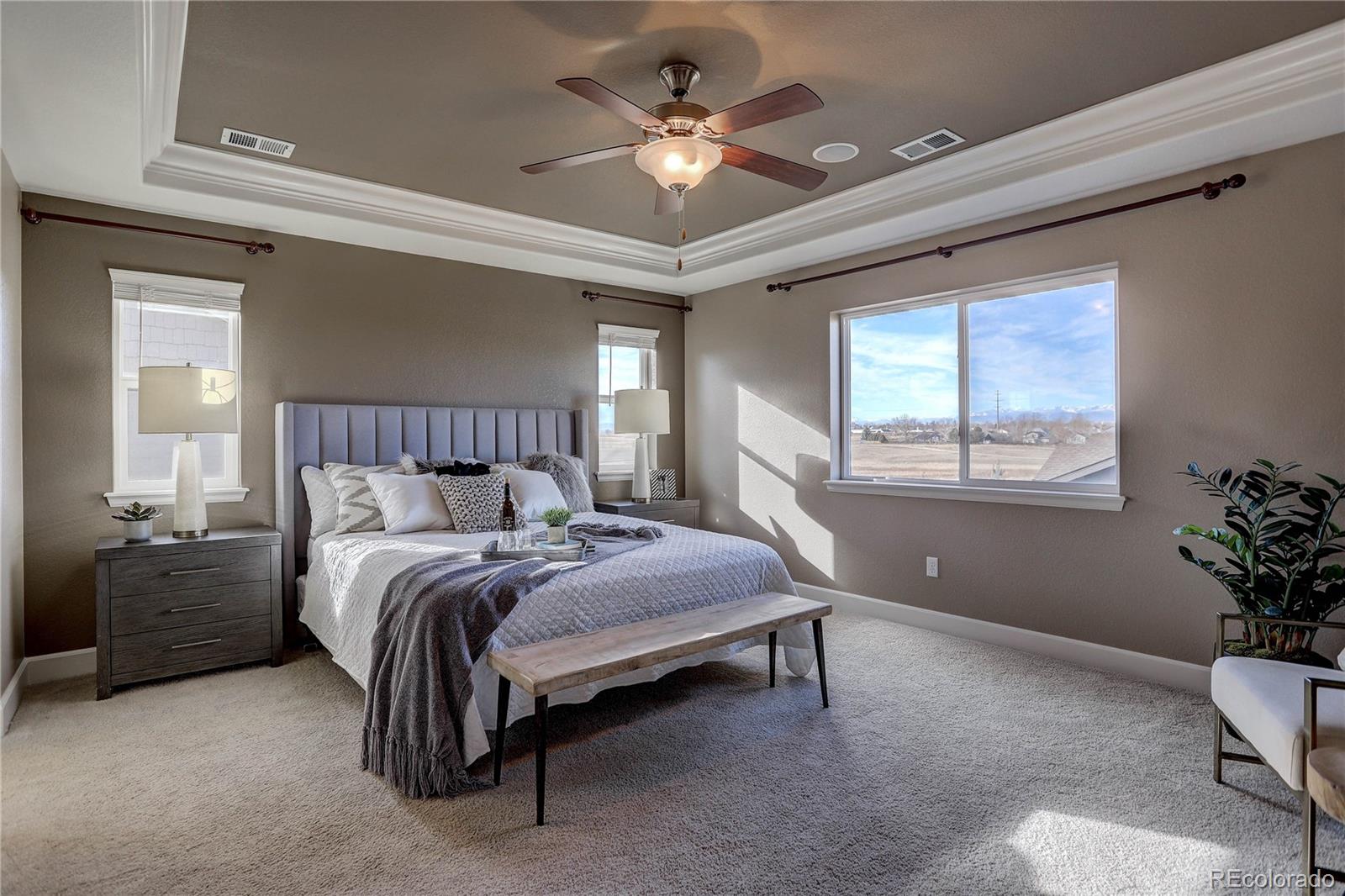 MLS Image #24 for 16585  sanford street,mead, Colorado