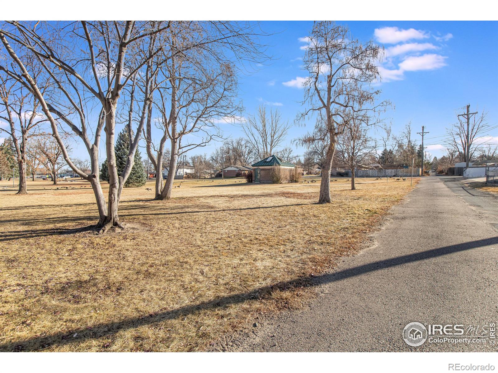 MLS Image #30 for 1112  tulip street,longmont, Colorado