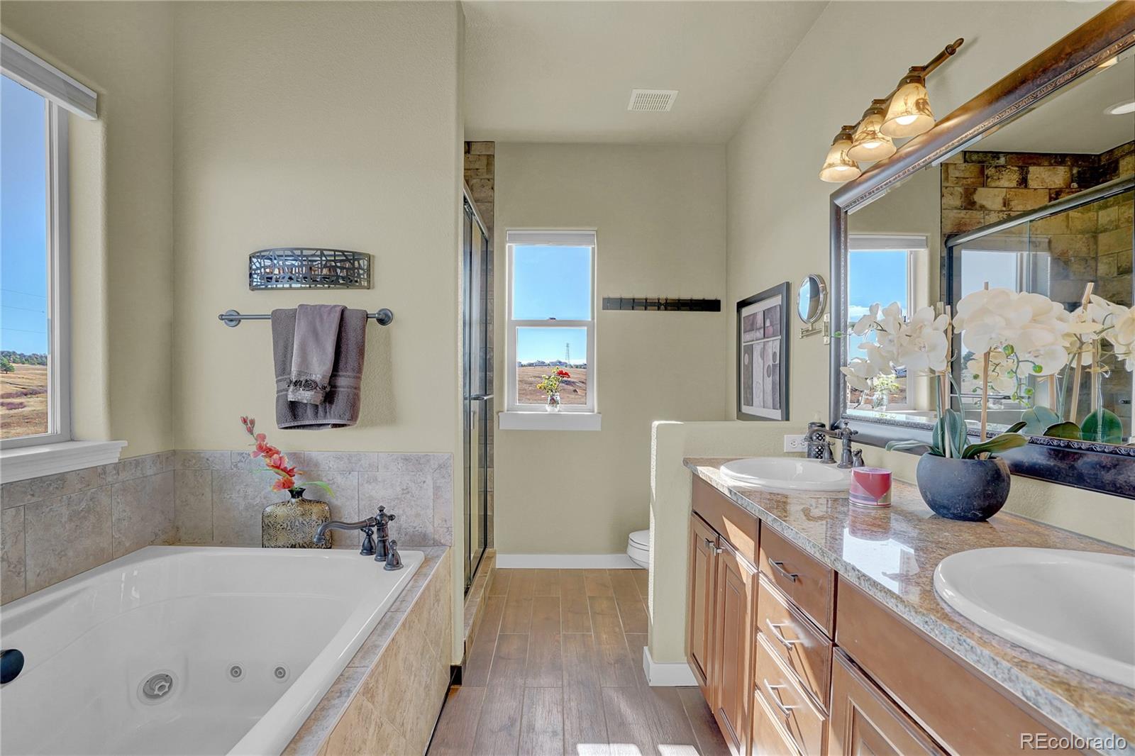 MLS Image #19 for 16045  ridge run drive,colorado springs, Colorado