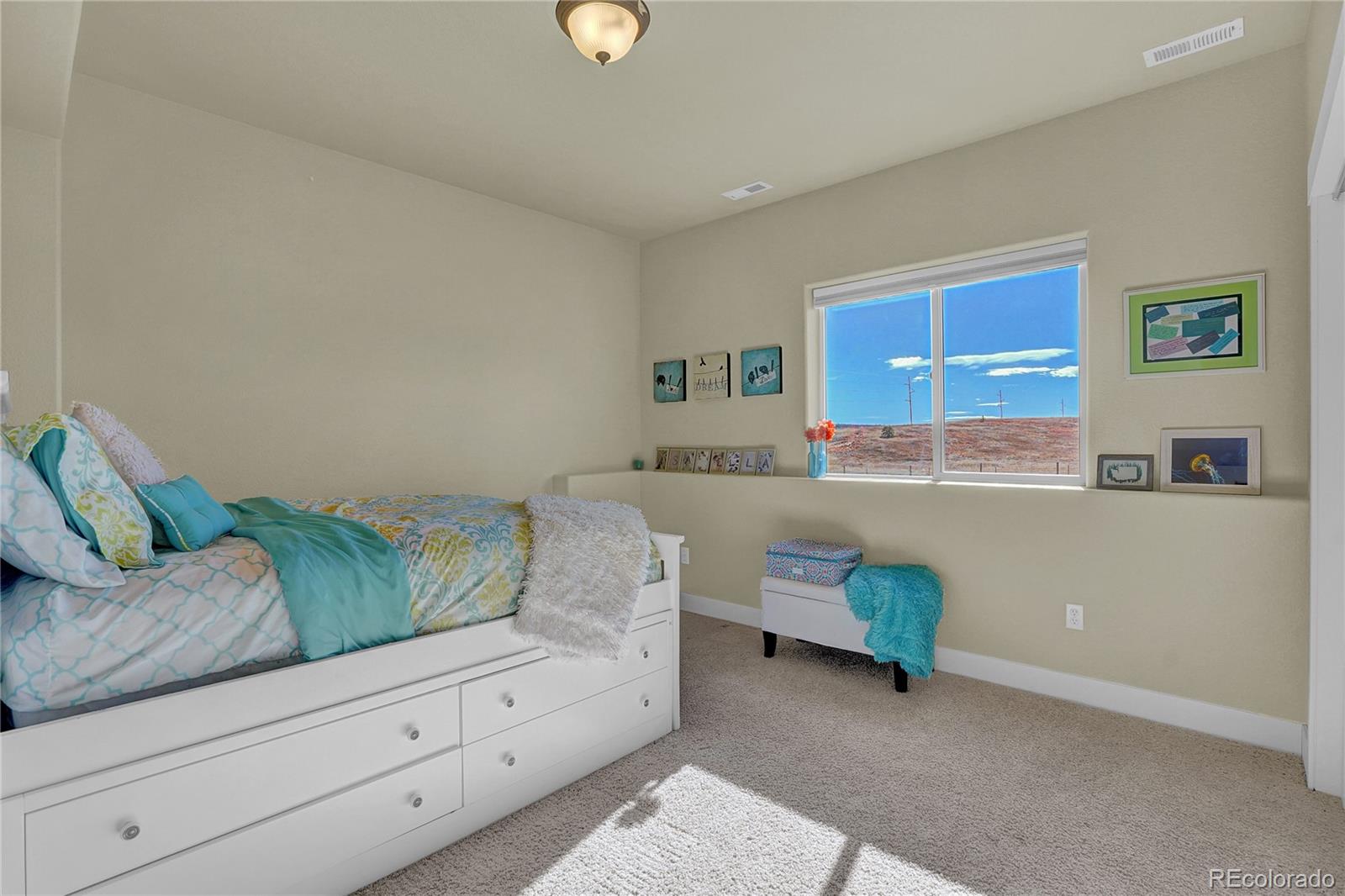 MLS Image #22 for 16045  ridge run drive,colorado springs, Colorado