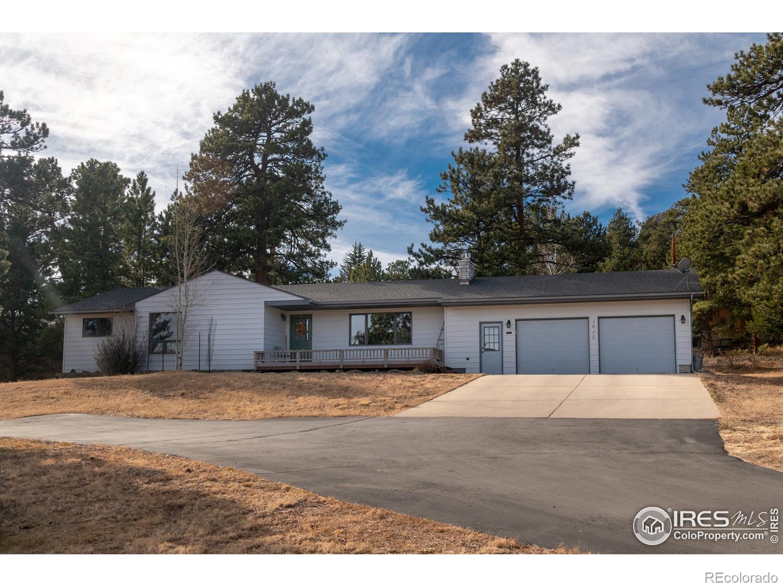 MLS Image #0 for 1015  lexington lane,estes park, Colorado