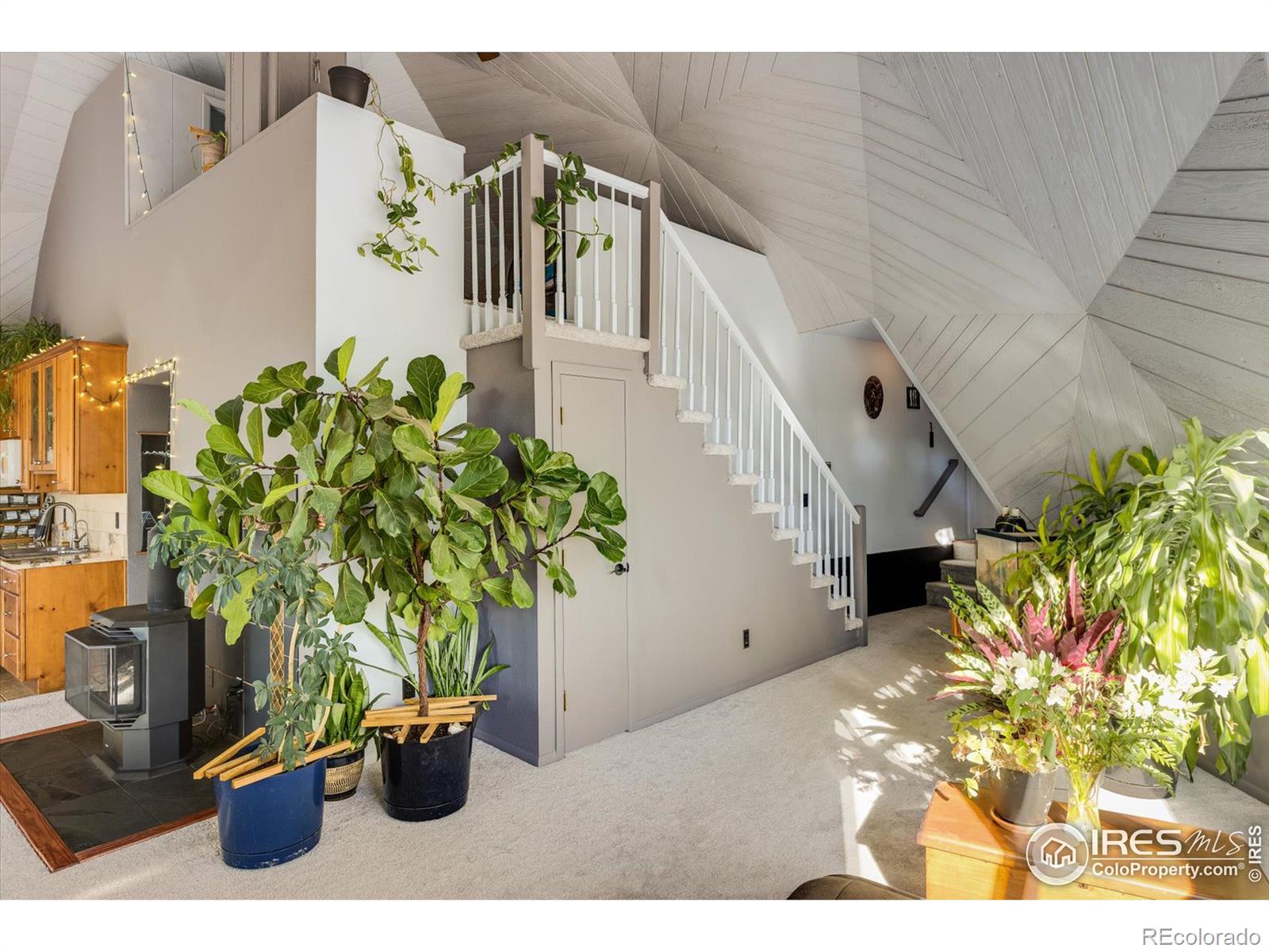 MLS Image #12 for 15335 s swiss road,pine, Colorado