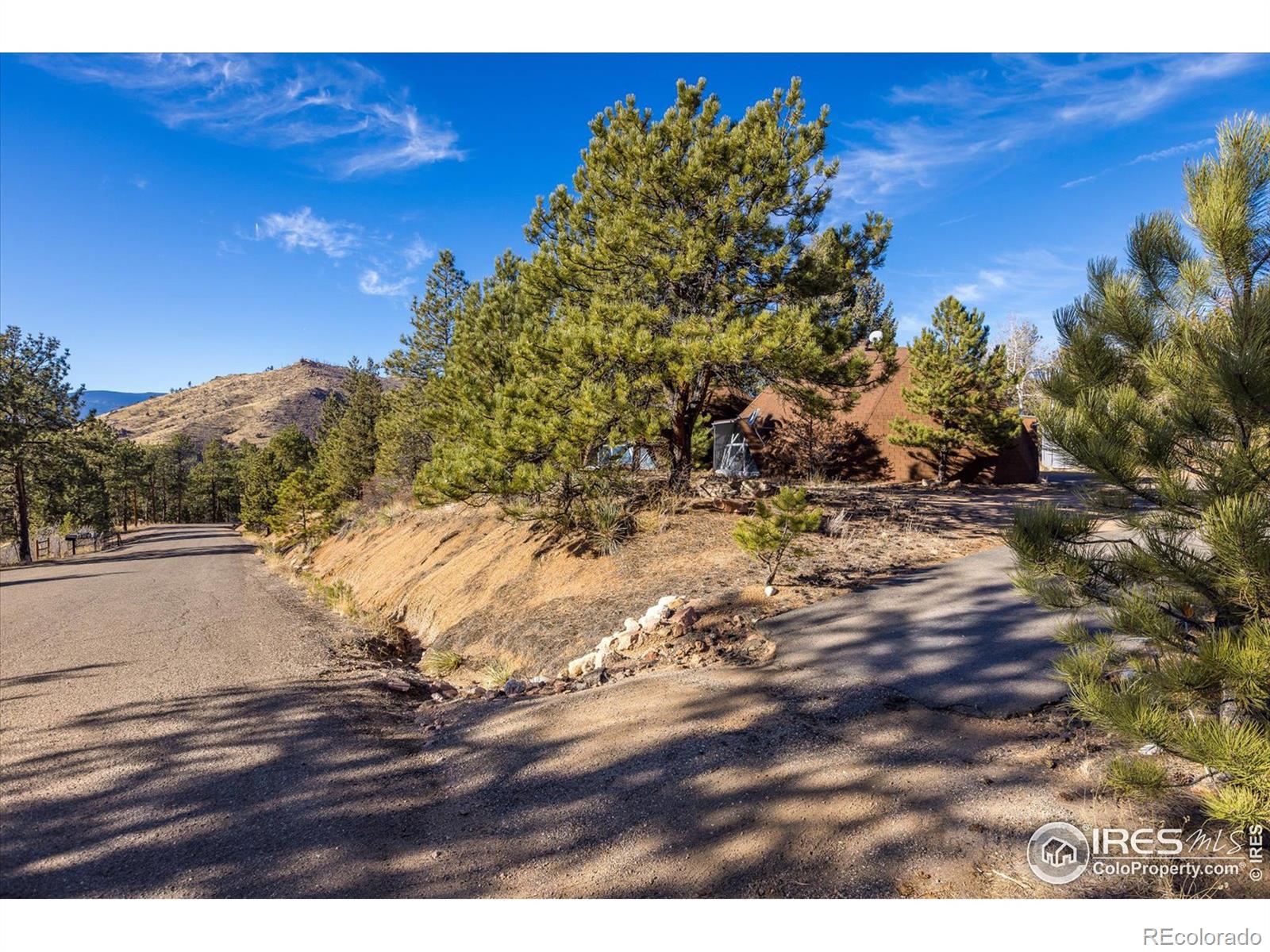 MLS Image #19 for 15335 s swiss road,pine, Colorado