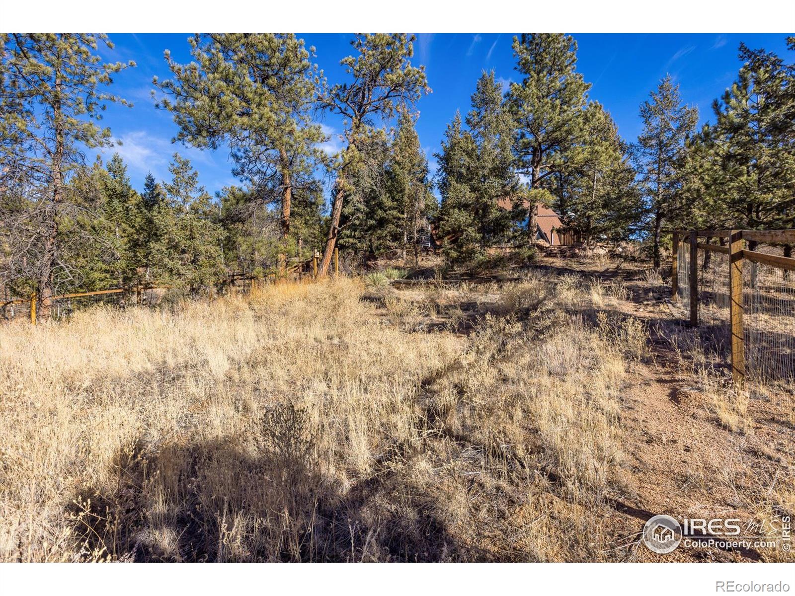 MLS Image #34 for 15335 s swiss road,pine, Colorado